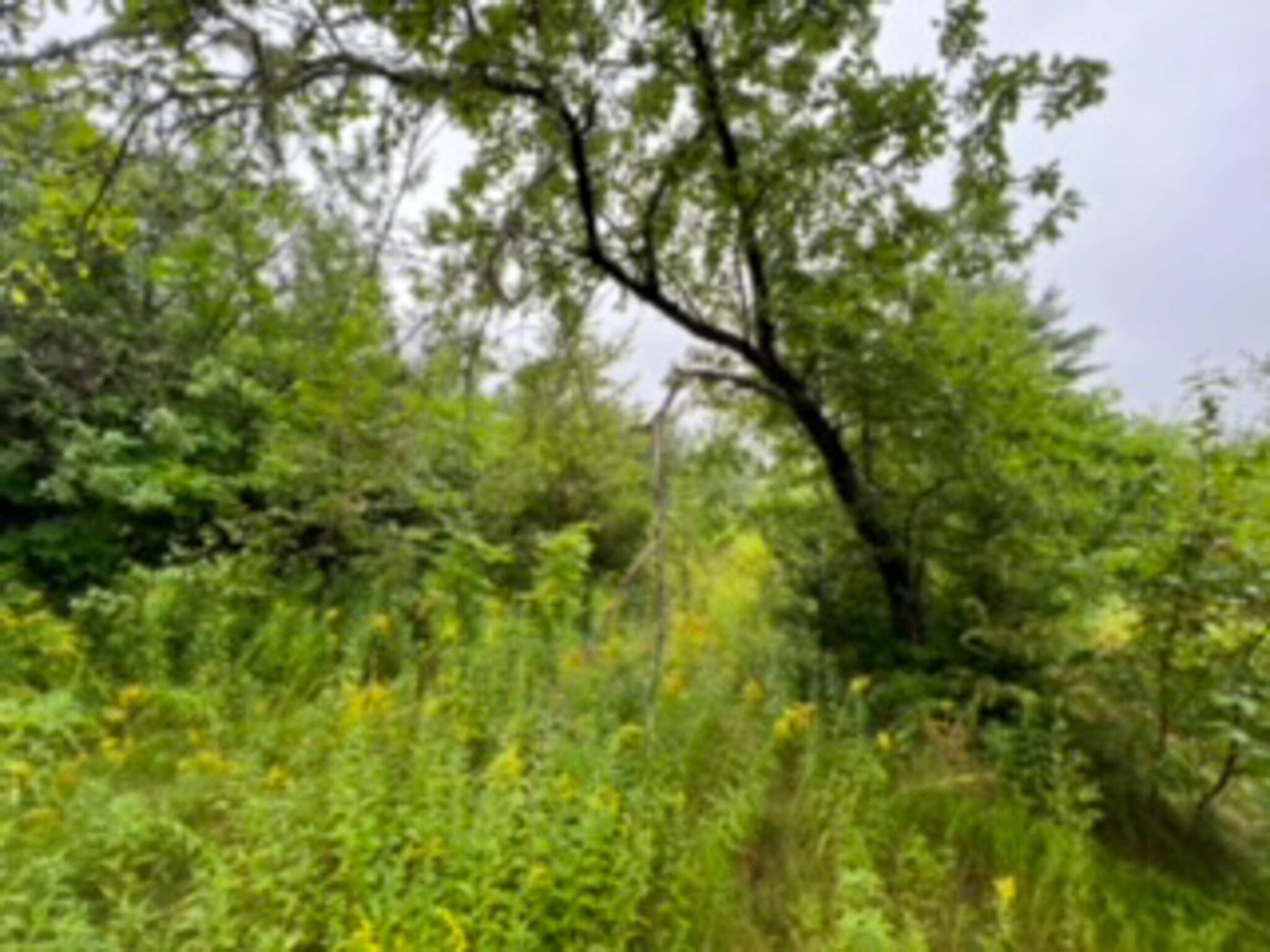 Webster Plt, ME 04487,Lot 10 Tucker Ridge RD