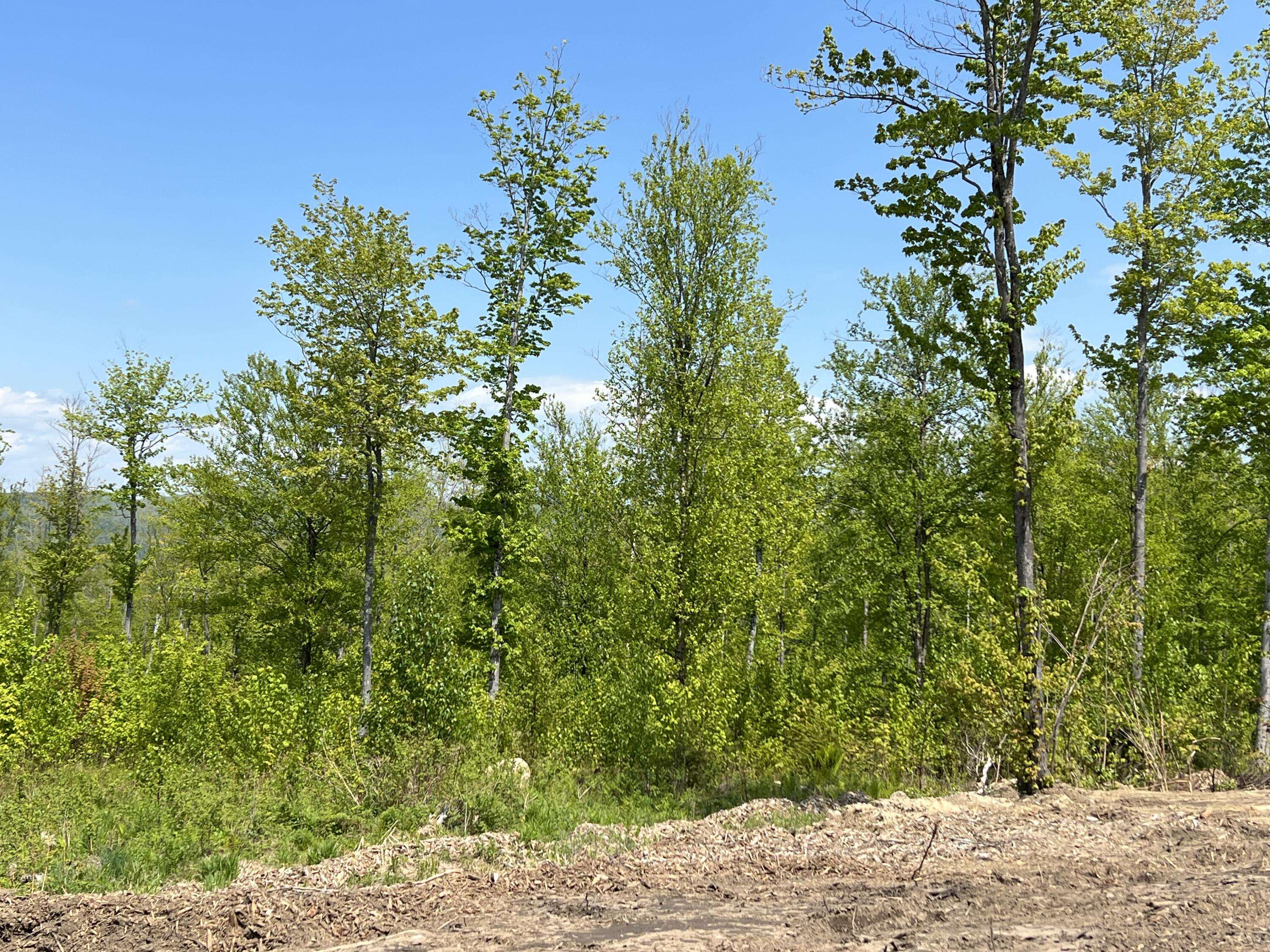 Bethel, ME 04217,Lot 9B Harmony ROW