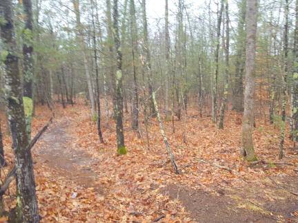 Naples, ME 04055,Lot#10 Burnham Drive