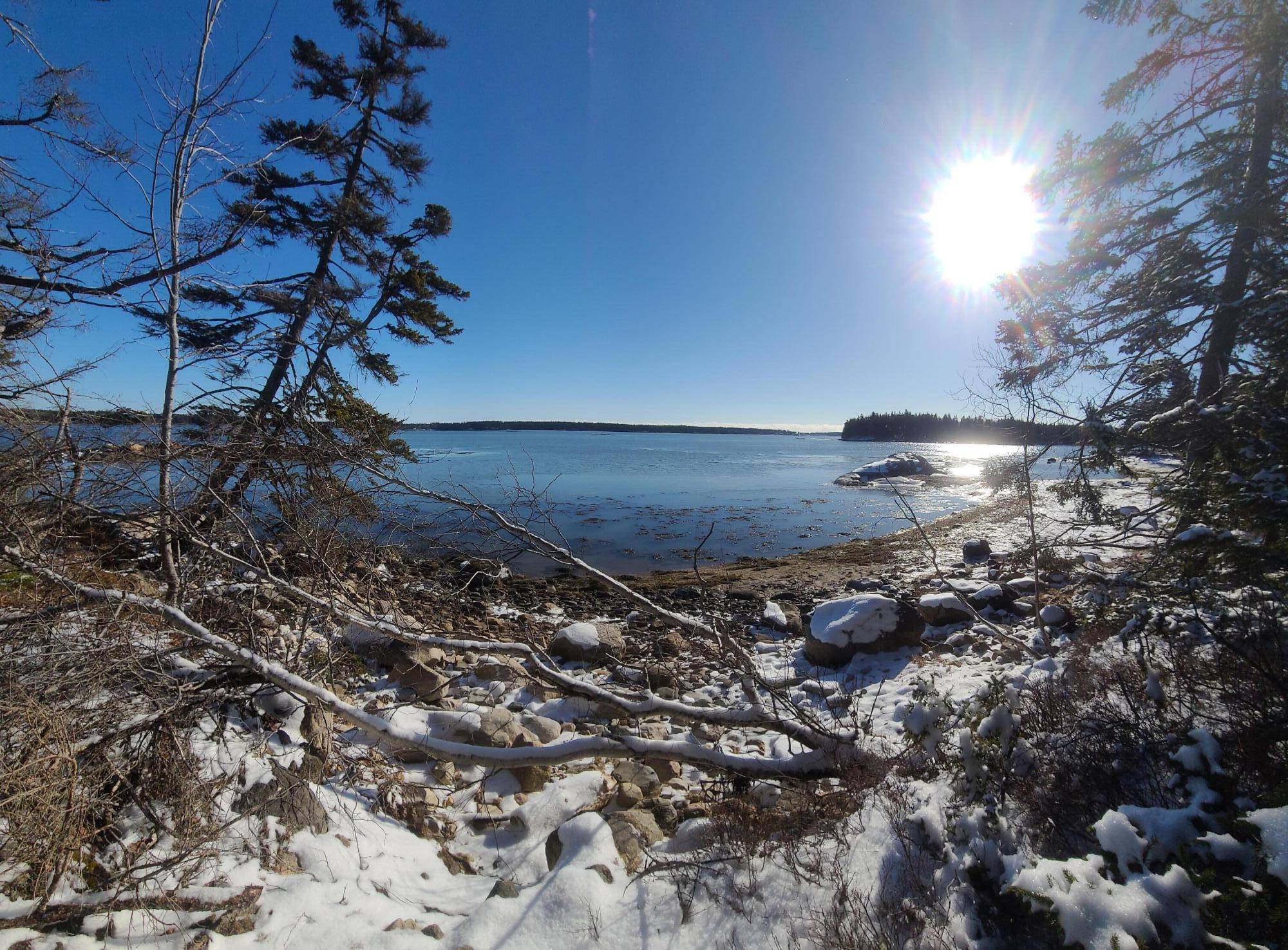 Steuben, ME 04680,Lot 8 Pyne Cove RD