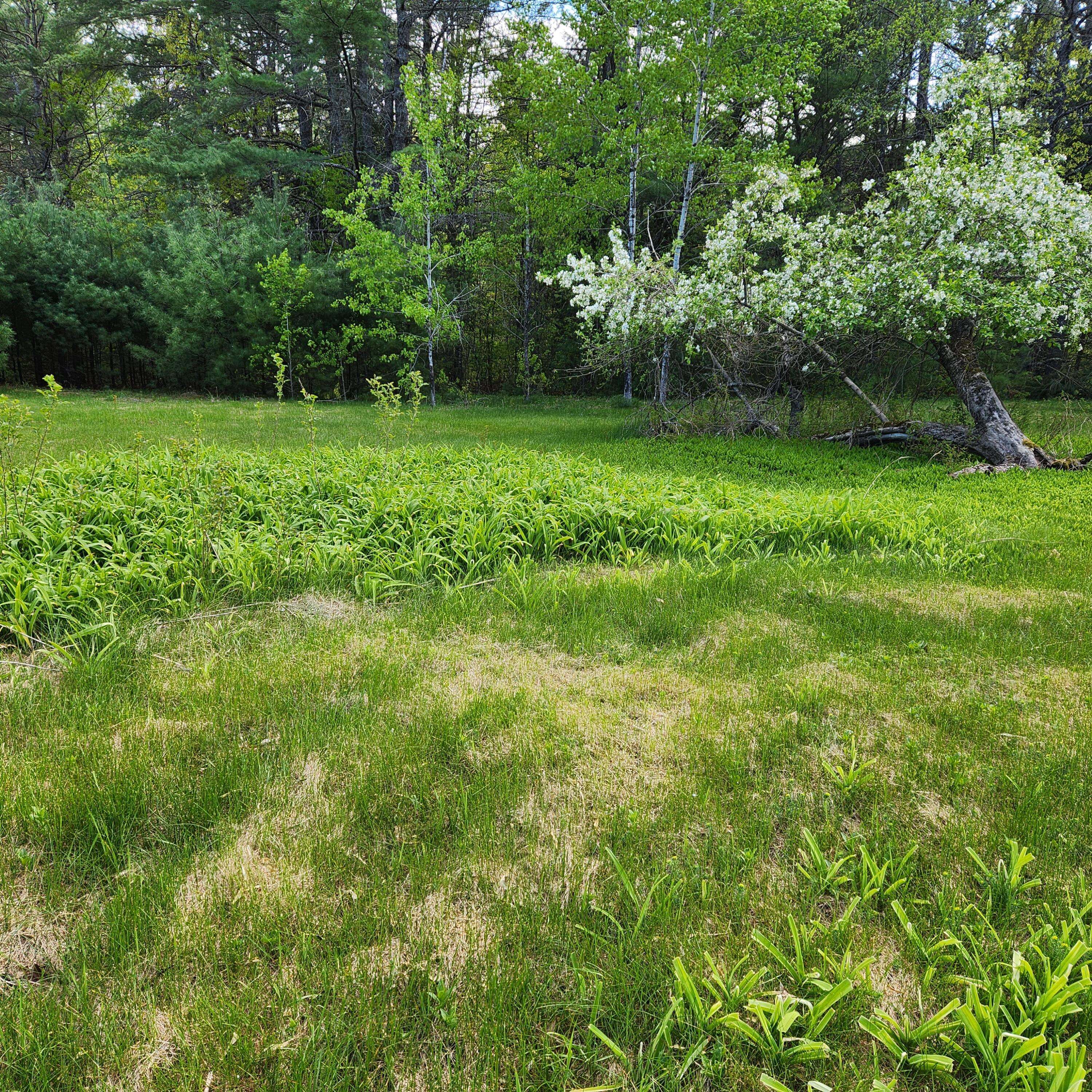 Waterford, ME 04088,Lot C Bisbee Town/Hunts Corner RD