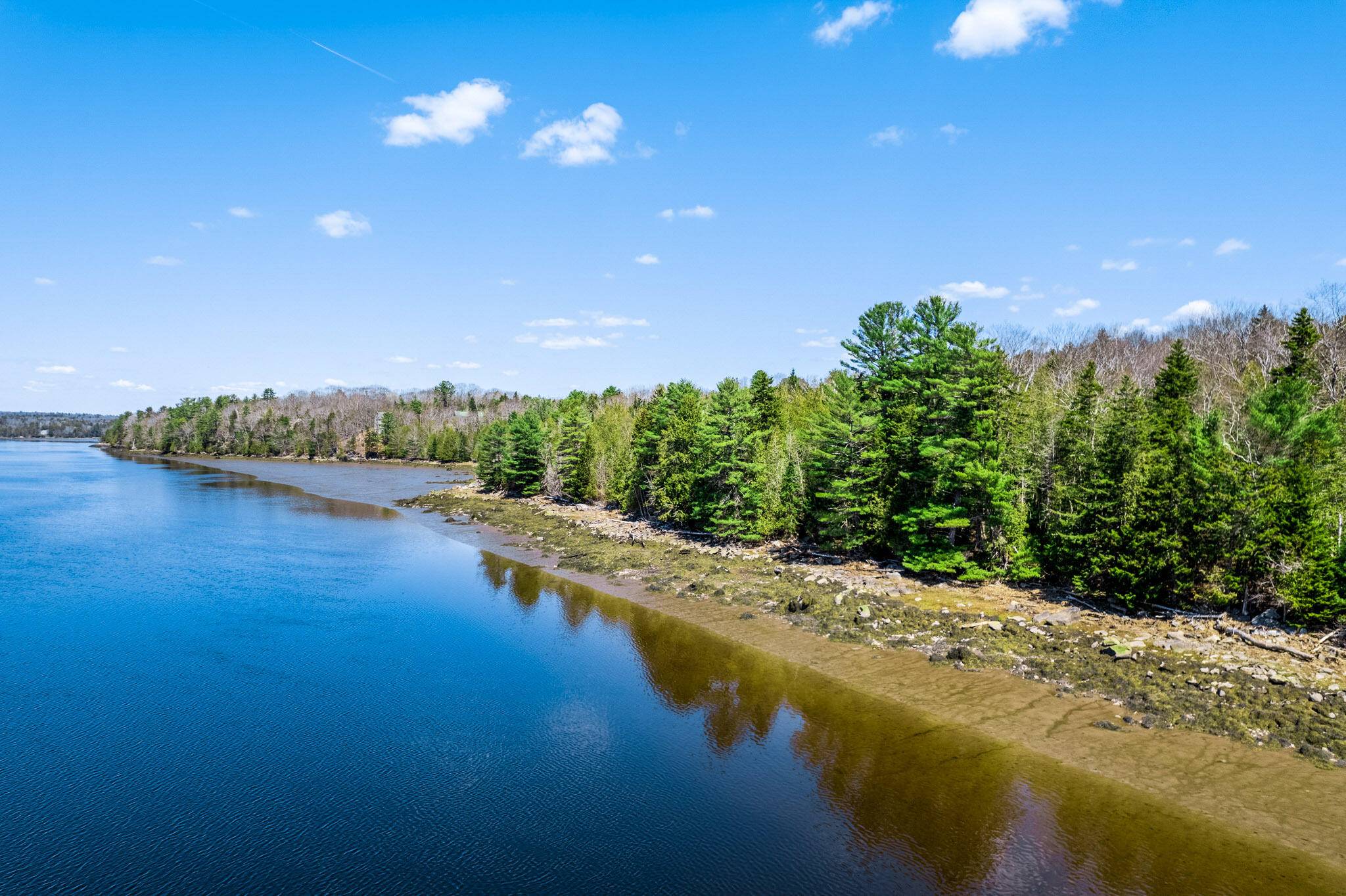 Orland, ME 04472,M005L089 Leaches Point RD