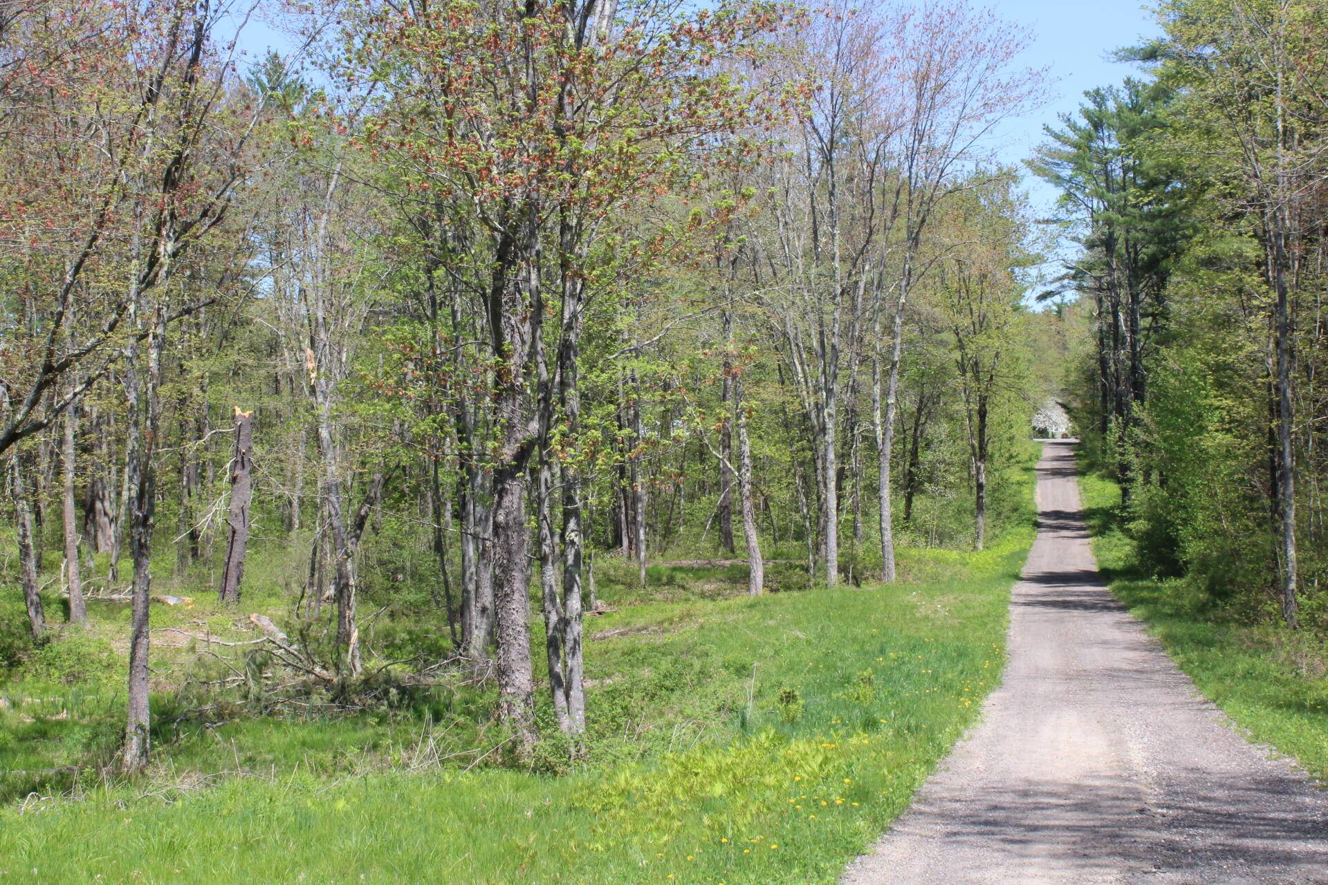 Kennebunk, ME 04043,TBD Amari LN