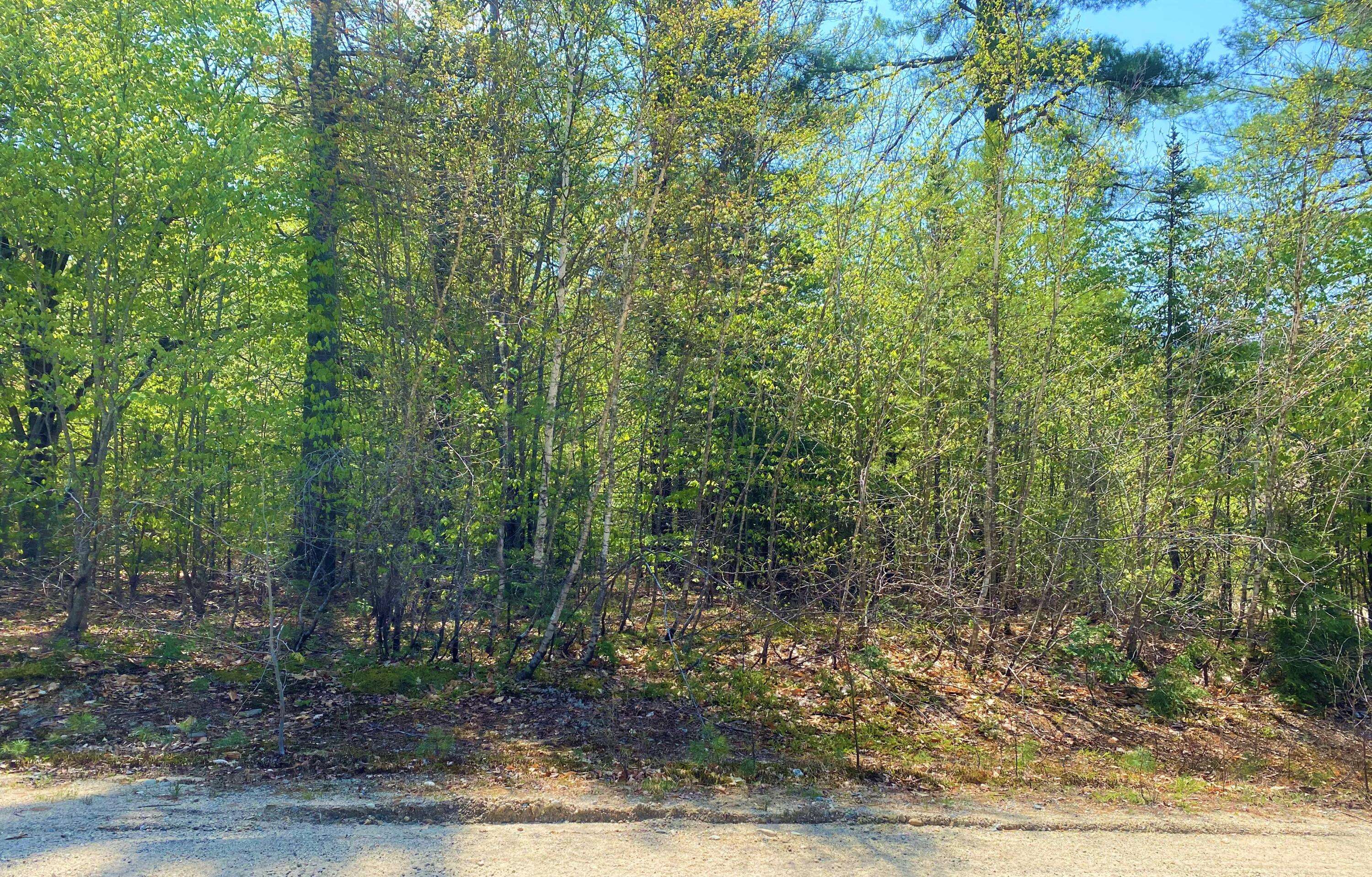 Greenwood, ME 04255,Lot009-32 Rocky LN