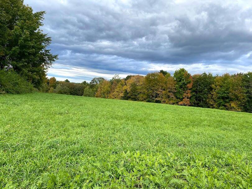 Windsor, ME 04363,Lot 7-2 Vining Hill, Windsor Neck RD