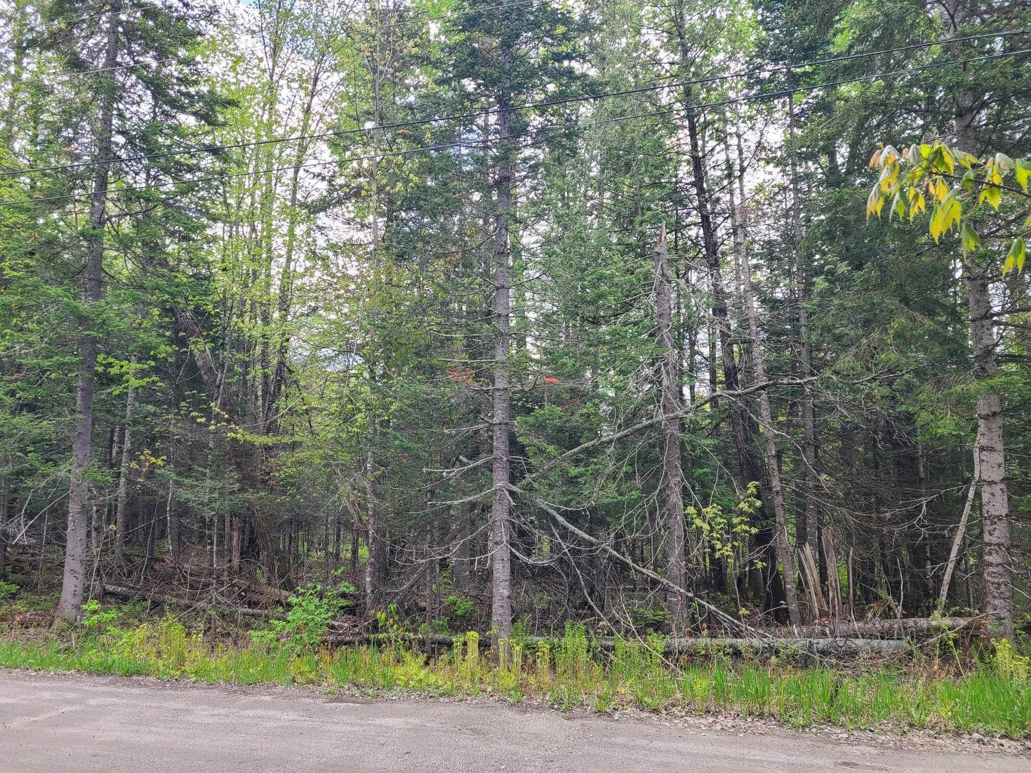 Eustis, ME 04982,TBD Mountain View (MapU01 Lot 144) RD