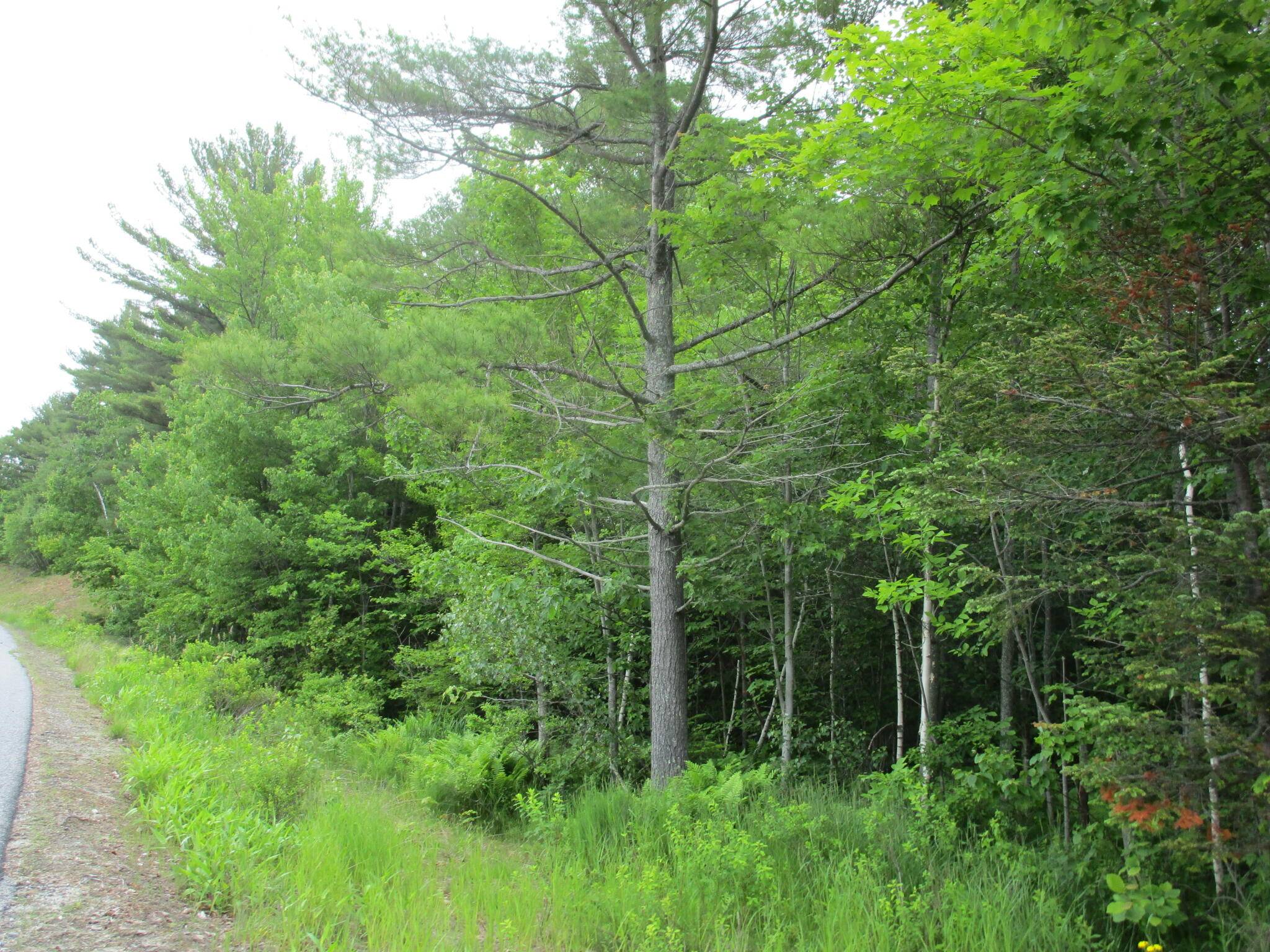 Paris, ME 04281,M13Lot34.1 Buckfield RD