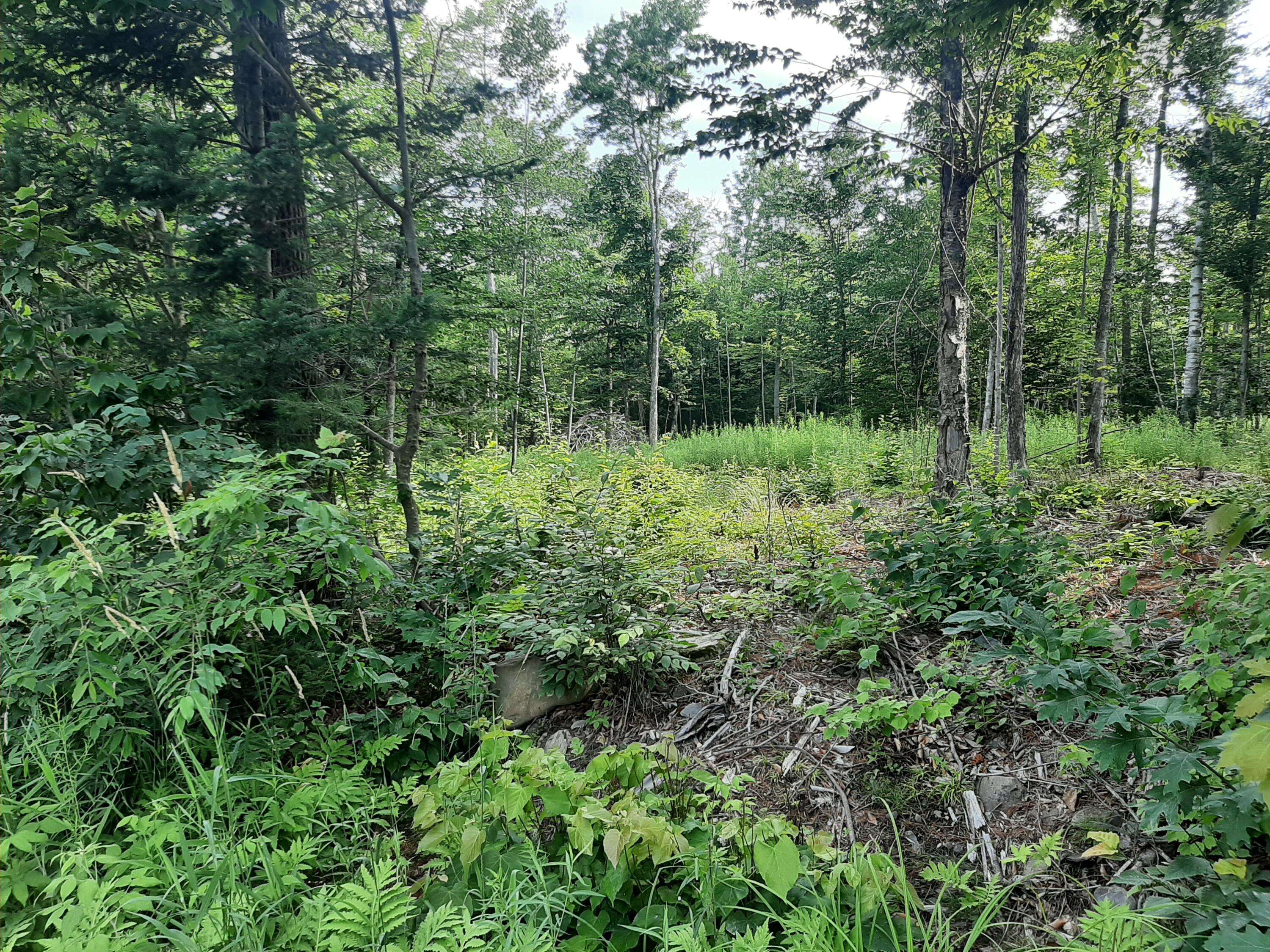 Glenburn, ME 04401,Lot 3 Ohio ST