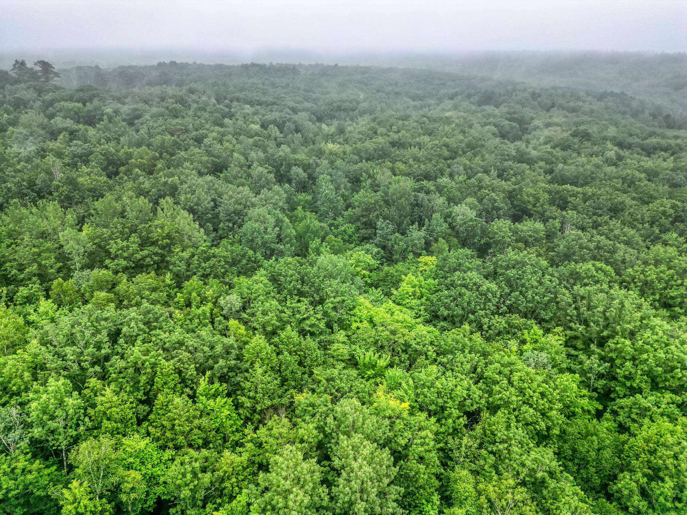 Litchfield, ME 04350,Lot25/32 Lewiston Road