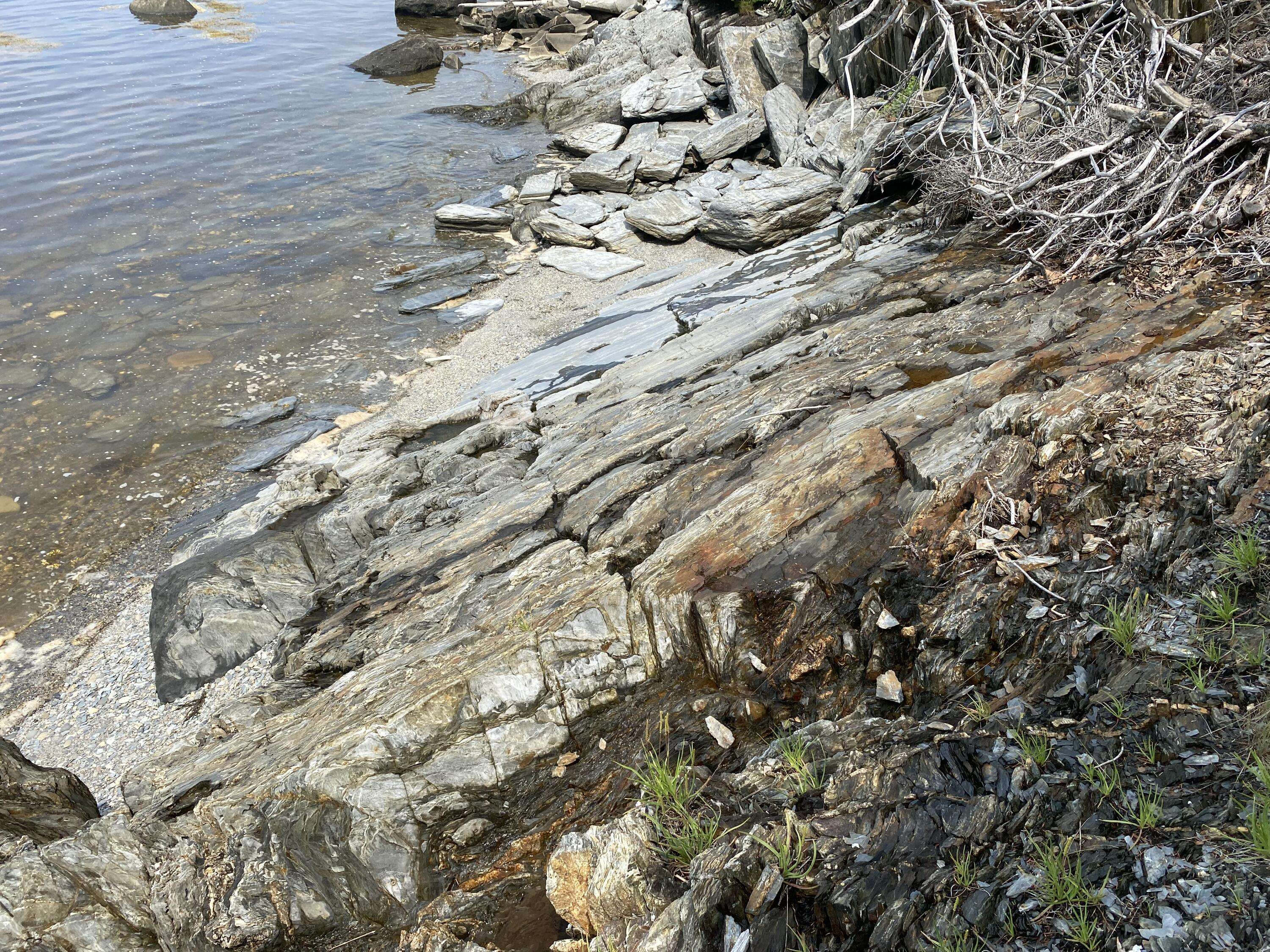 Islesboro, ME 04848,1552 Turtle Head RD