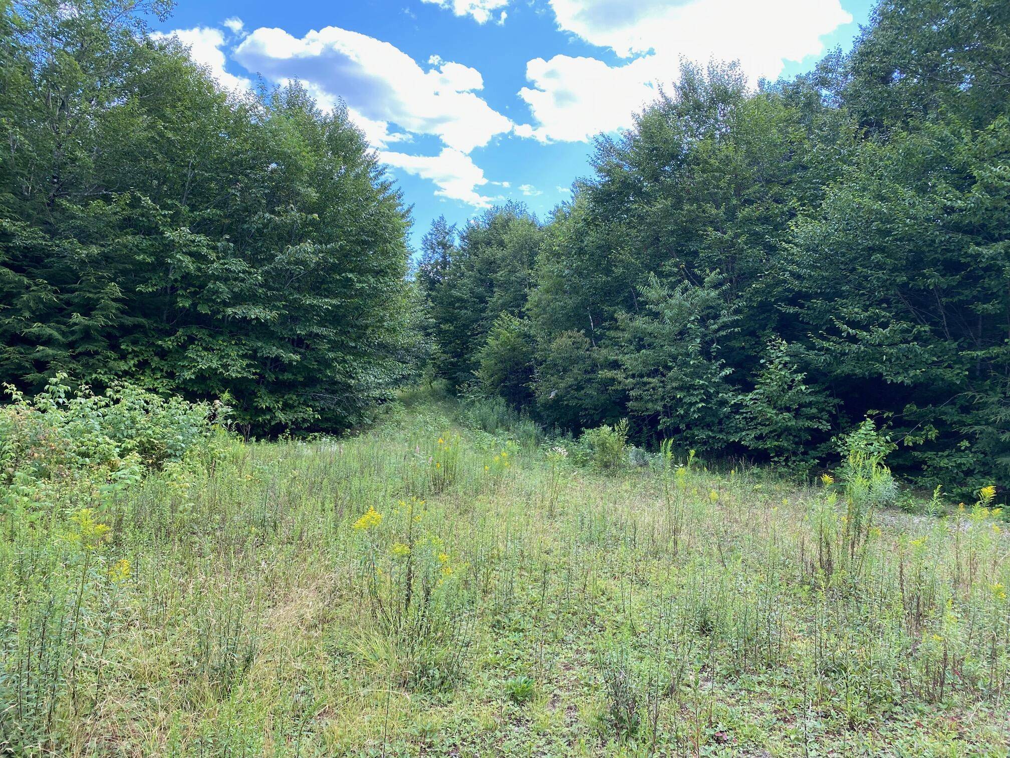 Cathance Twp, ME 04628,Lot WA1 Partridge Knoll