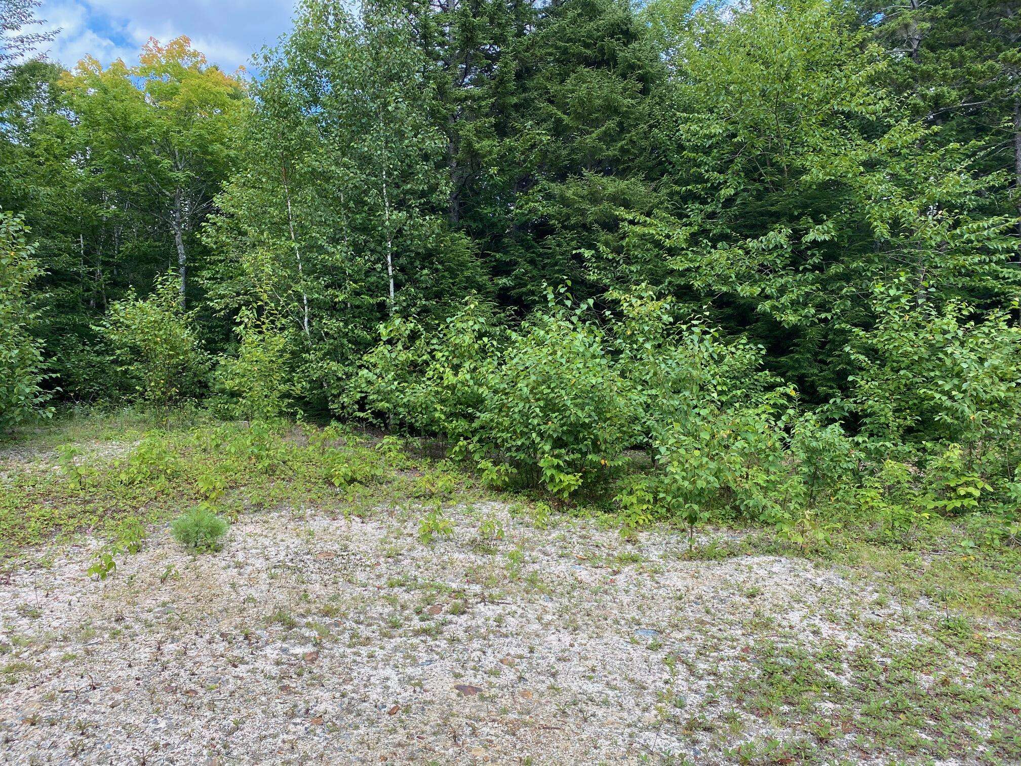 Cathance Twp, ME 04628,Lot WA1 Partridge Knoll