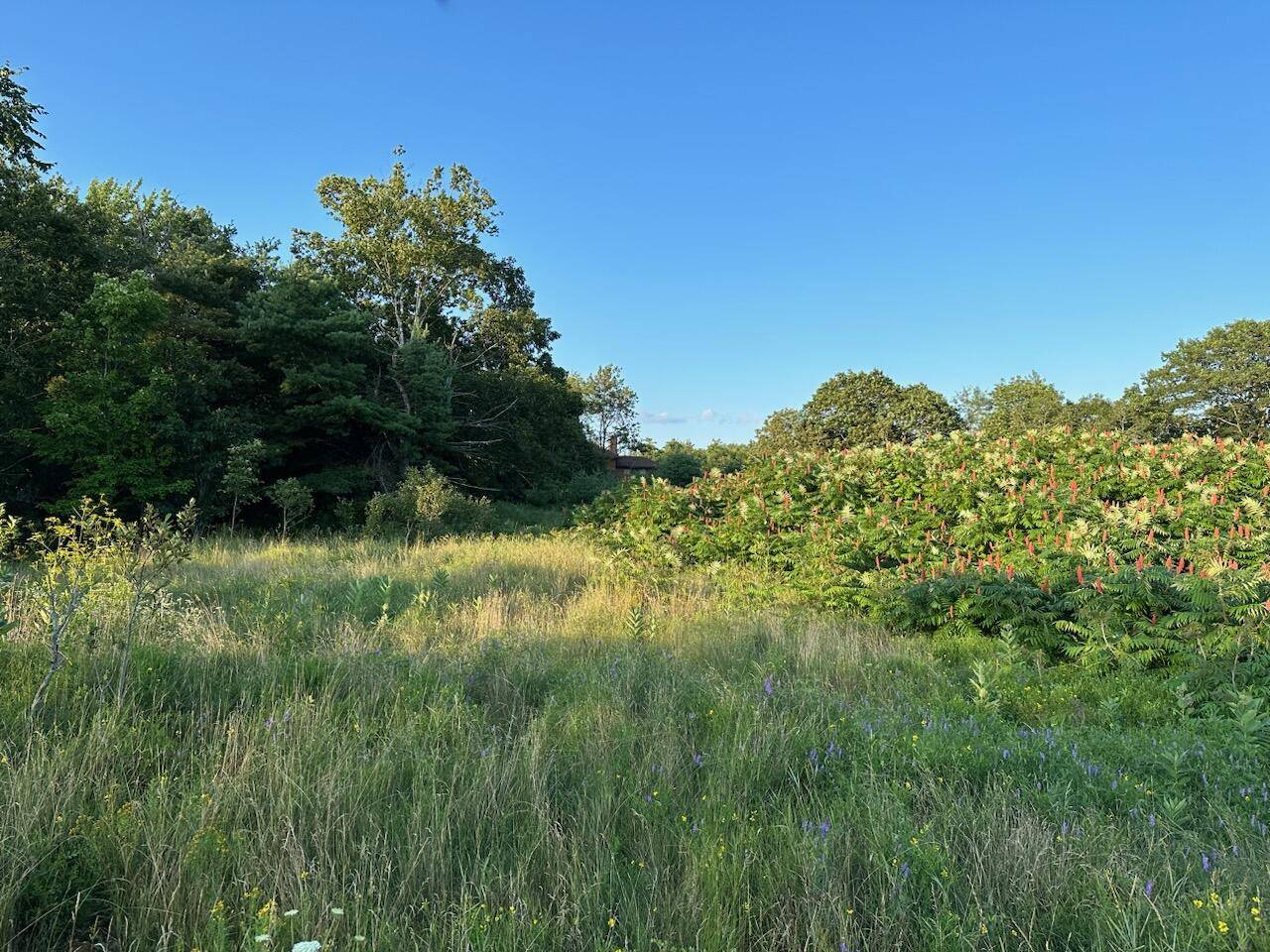 Thomaston, ME 04861,0 Thomaston ST