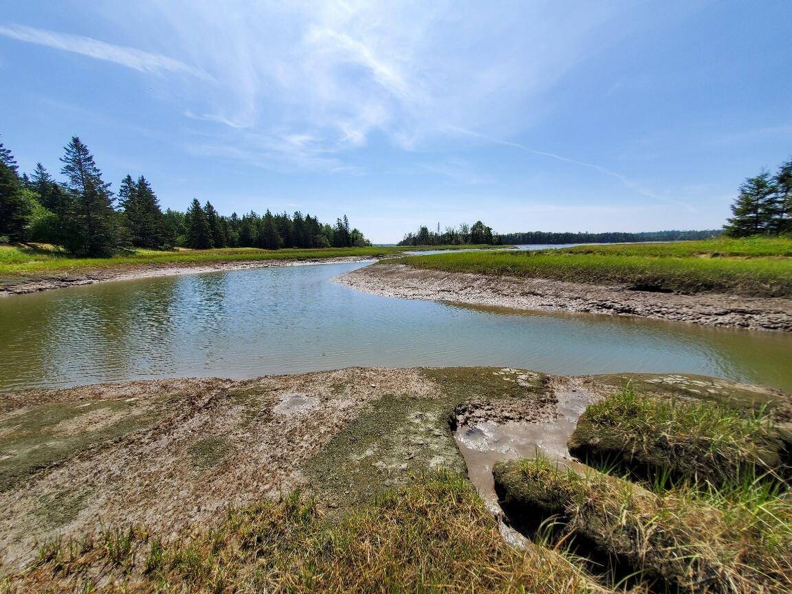 Steuben, ME 04680,300 Village RD