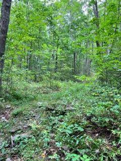 Dresden, ME 04342,Lot A Middle RD
