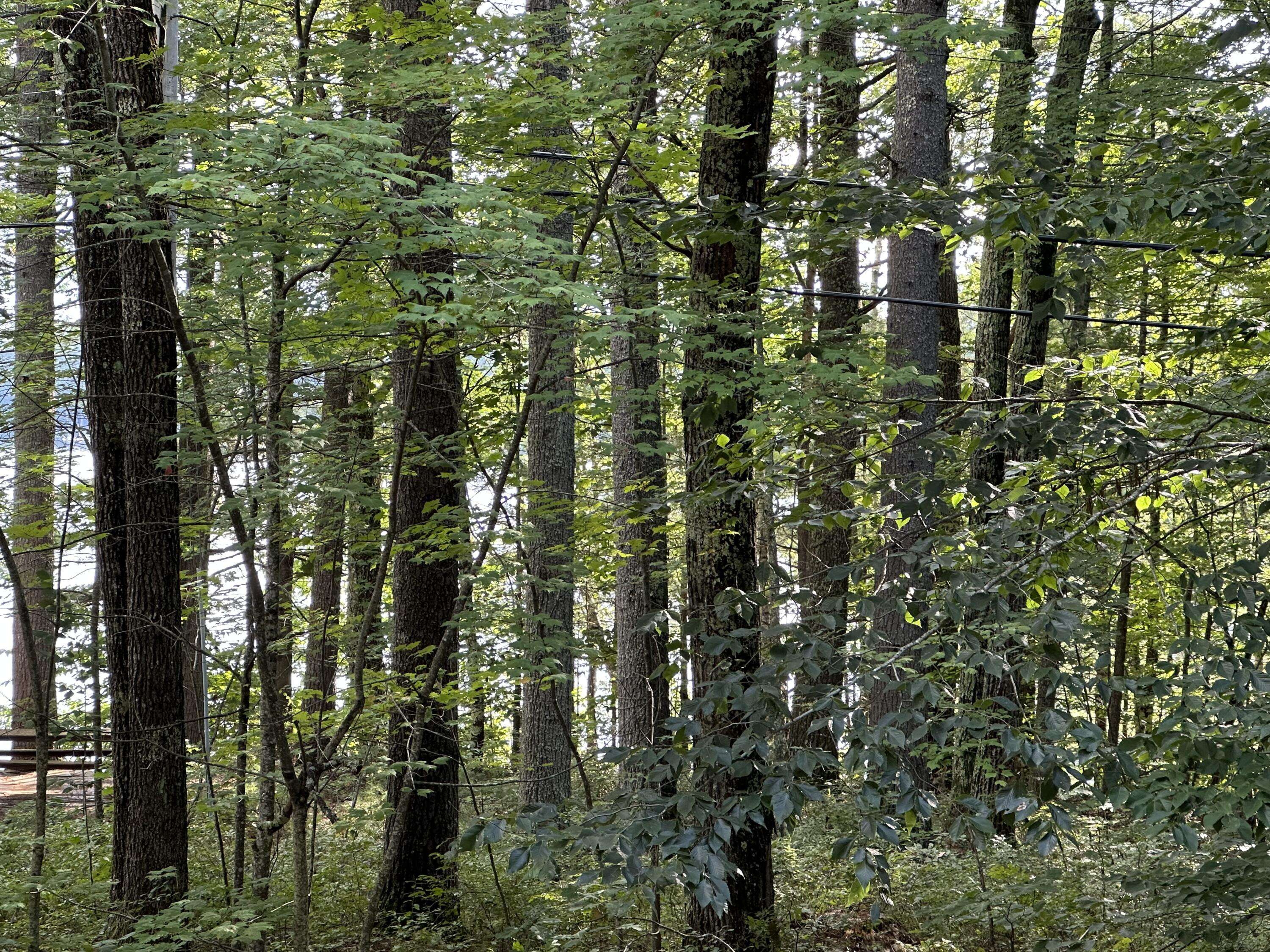 Shapleigh, ME 04076,Lot 8 Cedar DR