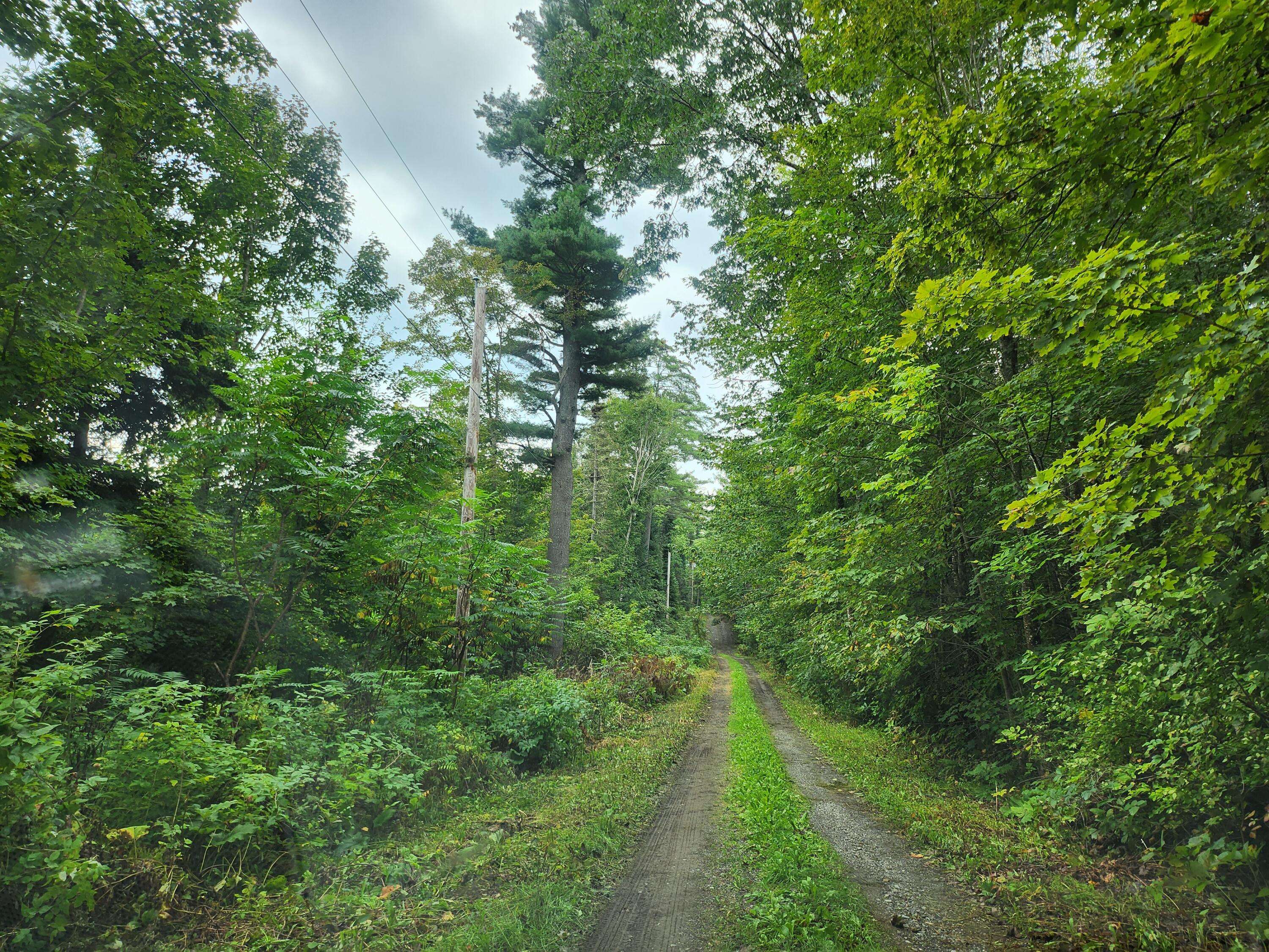 Palmyra, ME 04965,114 Miller Corner RD
