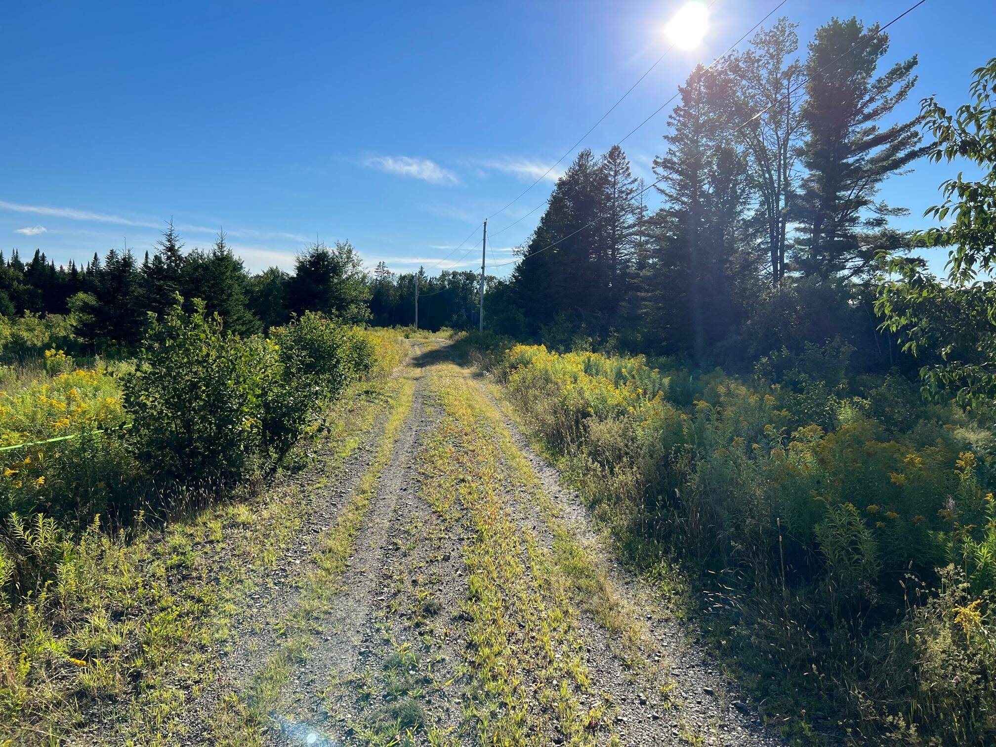 Dexter, ME 04930,Map 201 Lot 63-F North Dexter RD