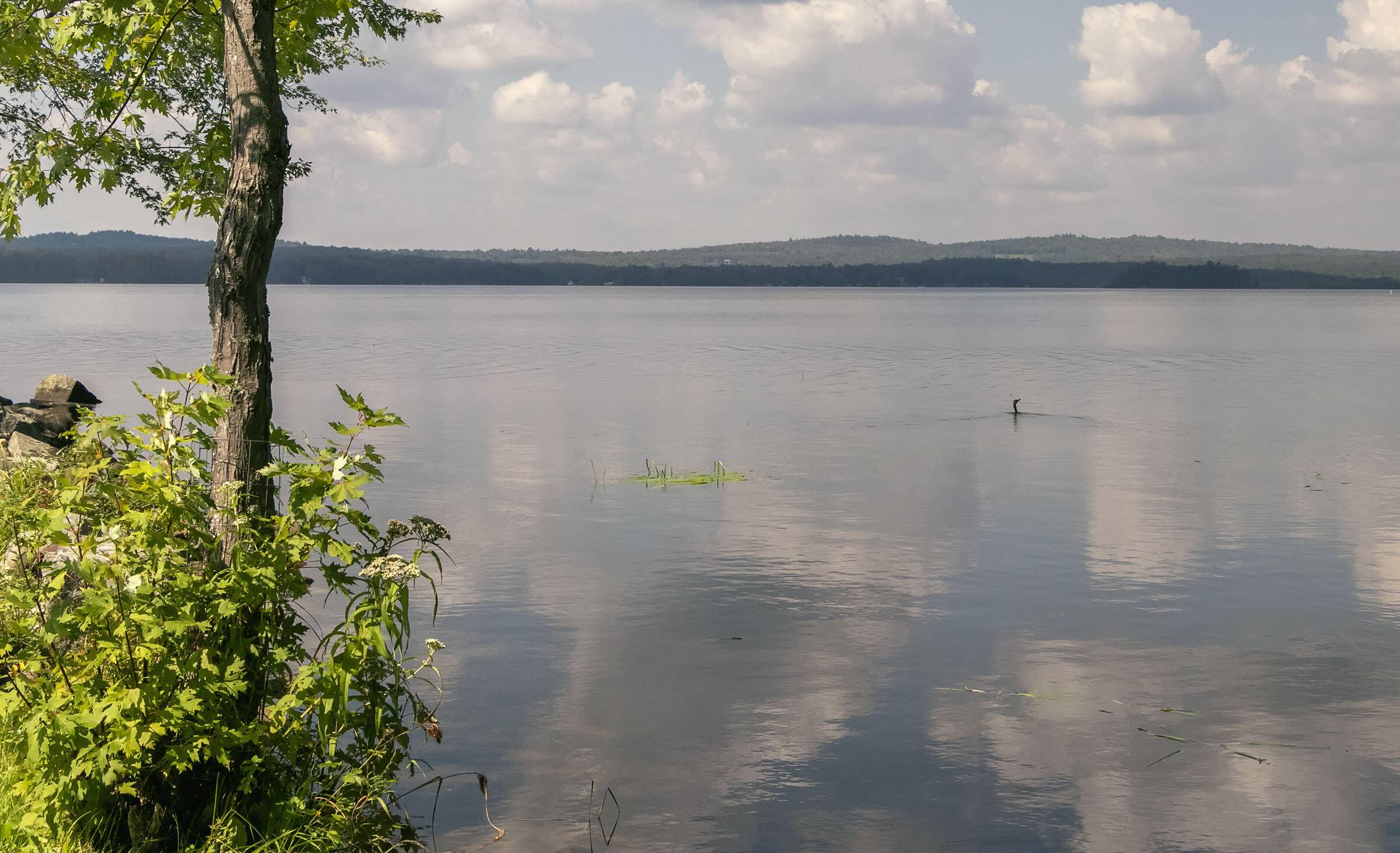 Smithfield, ME 04978,27 Sunset LN #C-10