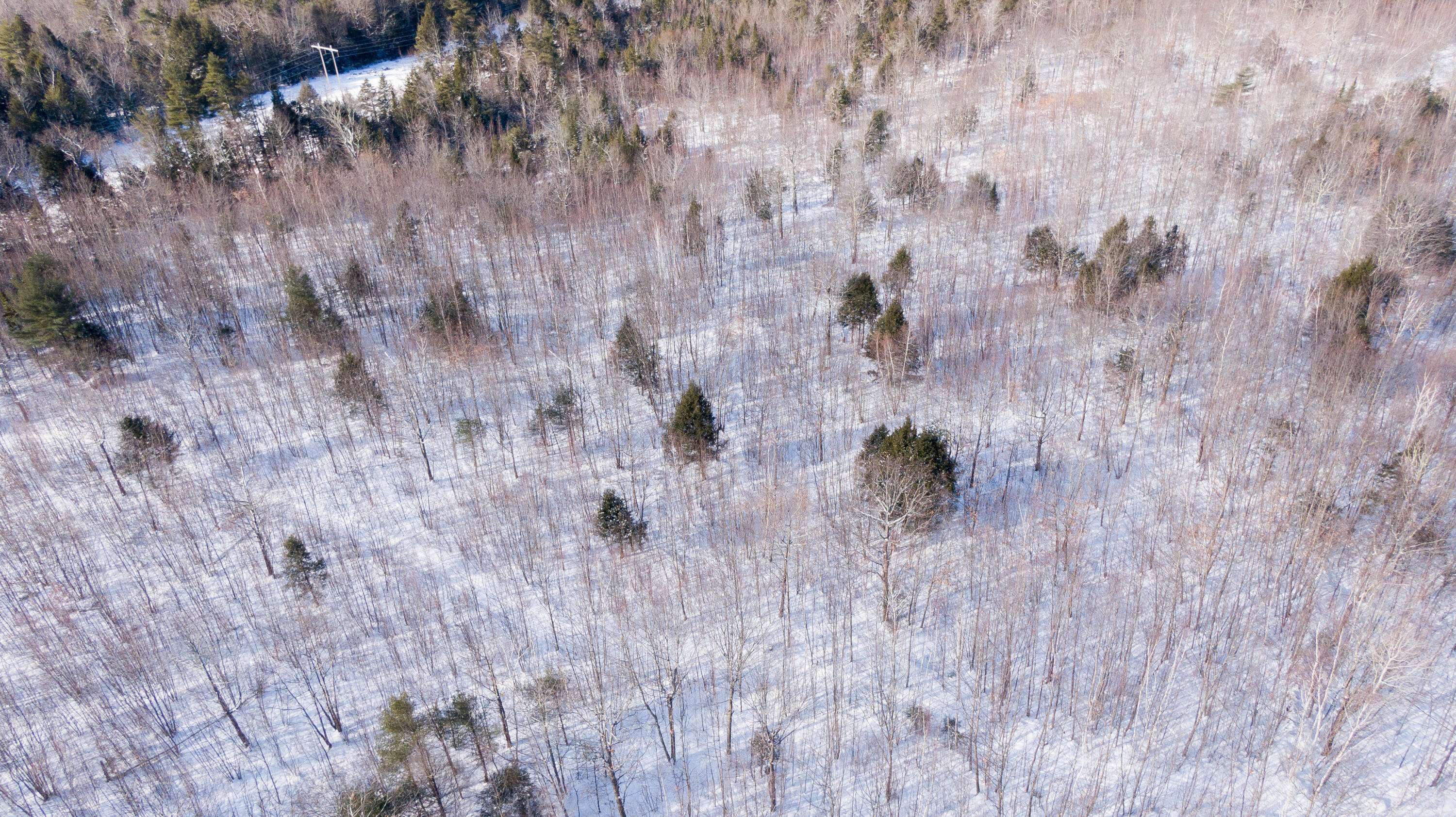 New Gloucester, ME 04260,TBD Targett RD