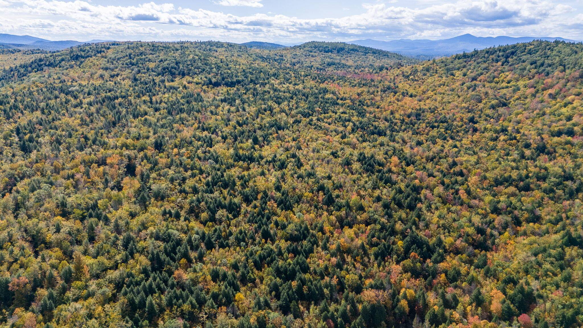 Stoneham, ME 04231,0 Mountain Rd-Proctor Pond RD