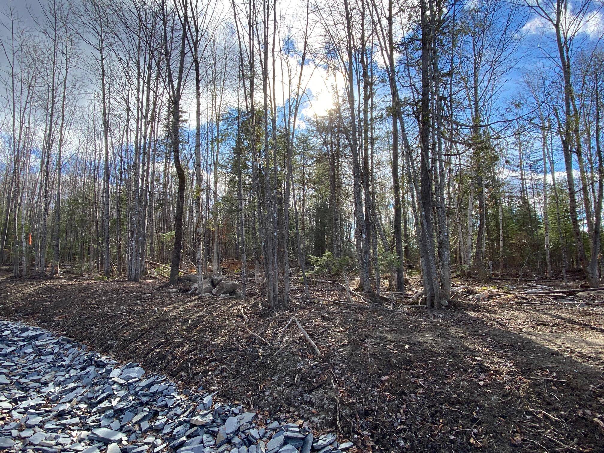 Greenville, ME 04441,8 Tumbledown LN