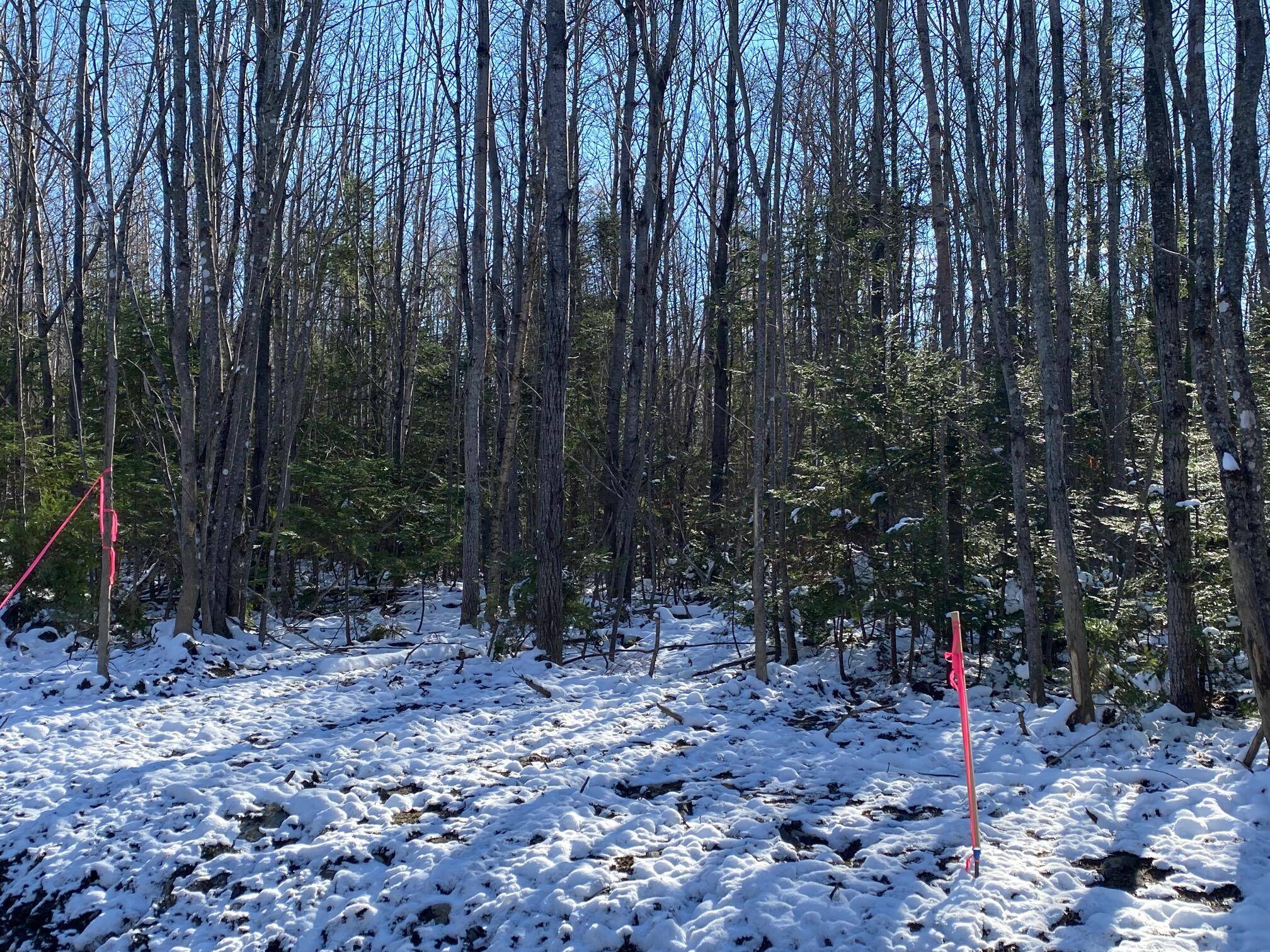 Greenville, ME 04441,9 Tumbledown LN