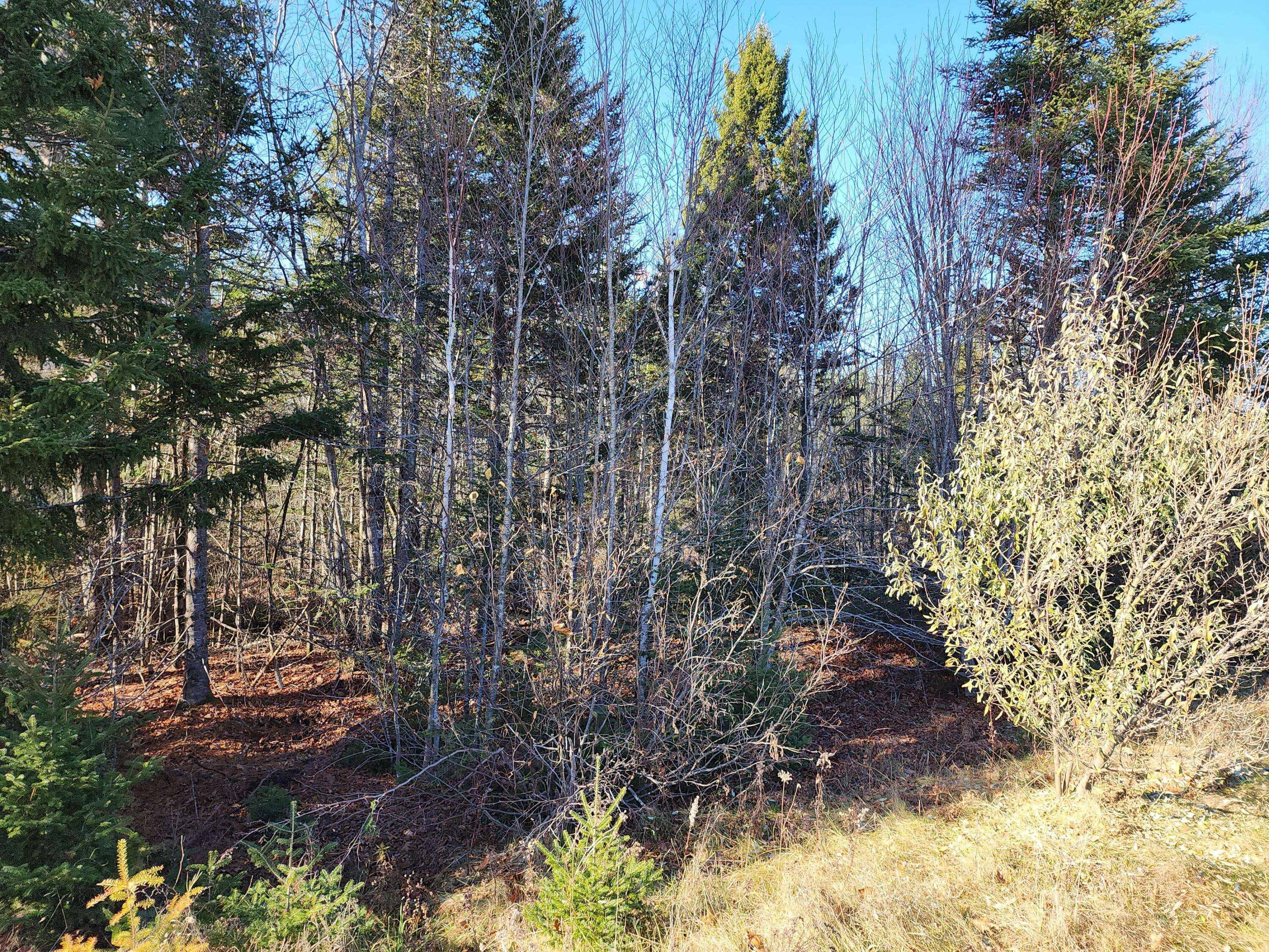 Searsport, ME 04974,41 Sandy Ridge LN