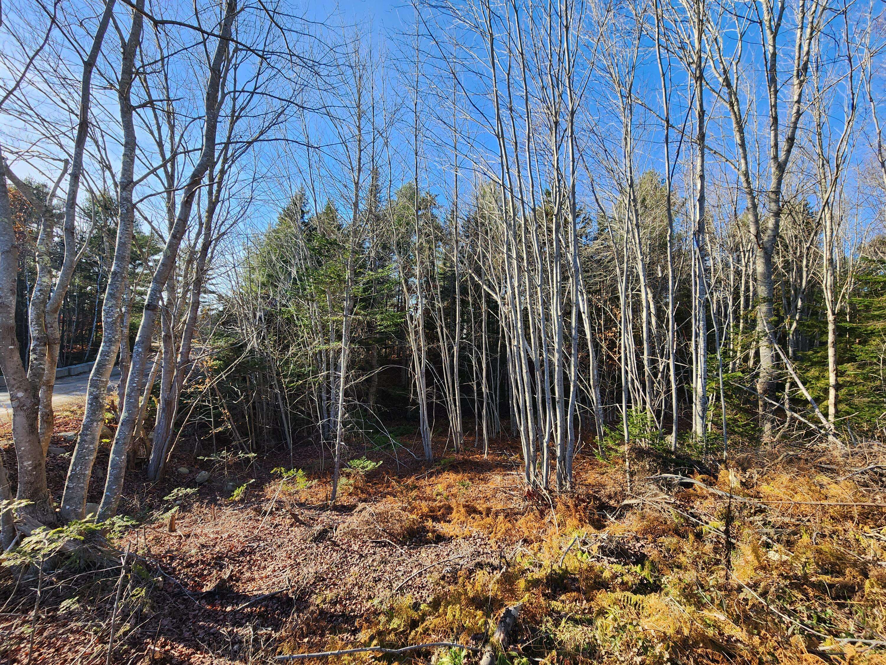 Searsport, ME 04974,37 Trout Brook LN