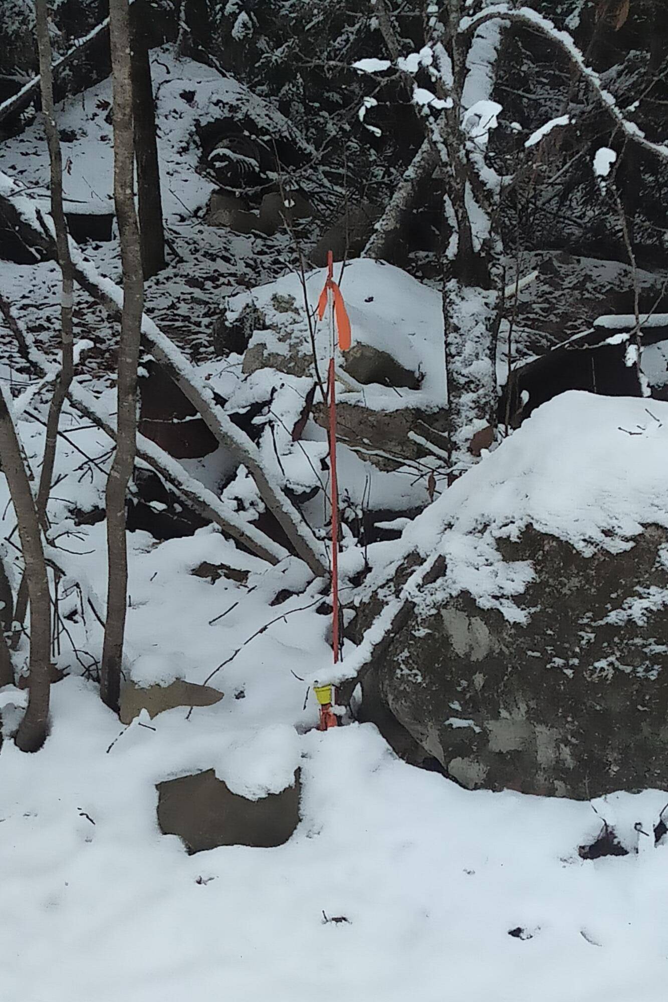 Casco, ME 04015,49 Graffam RD