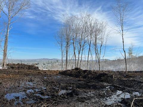 Naples, ME 04055,16A-2 Off presidential DR