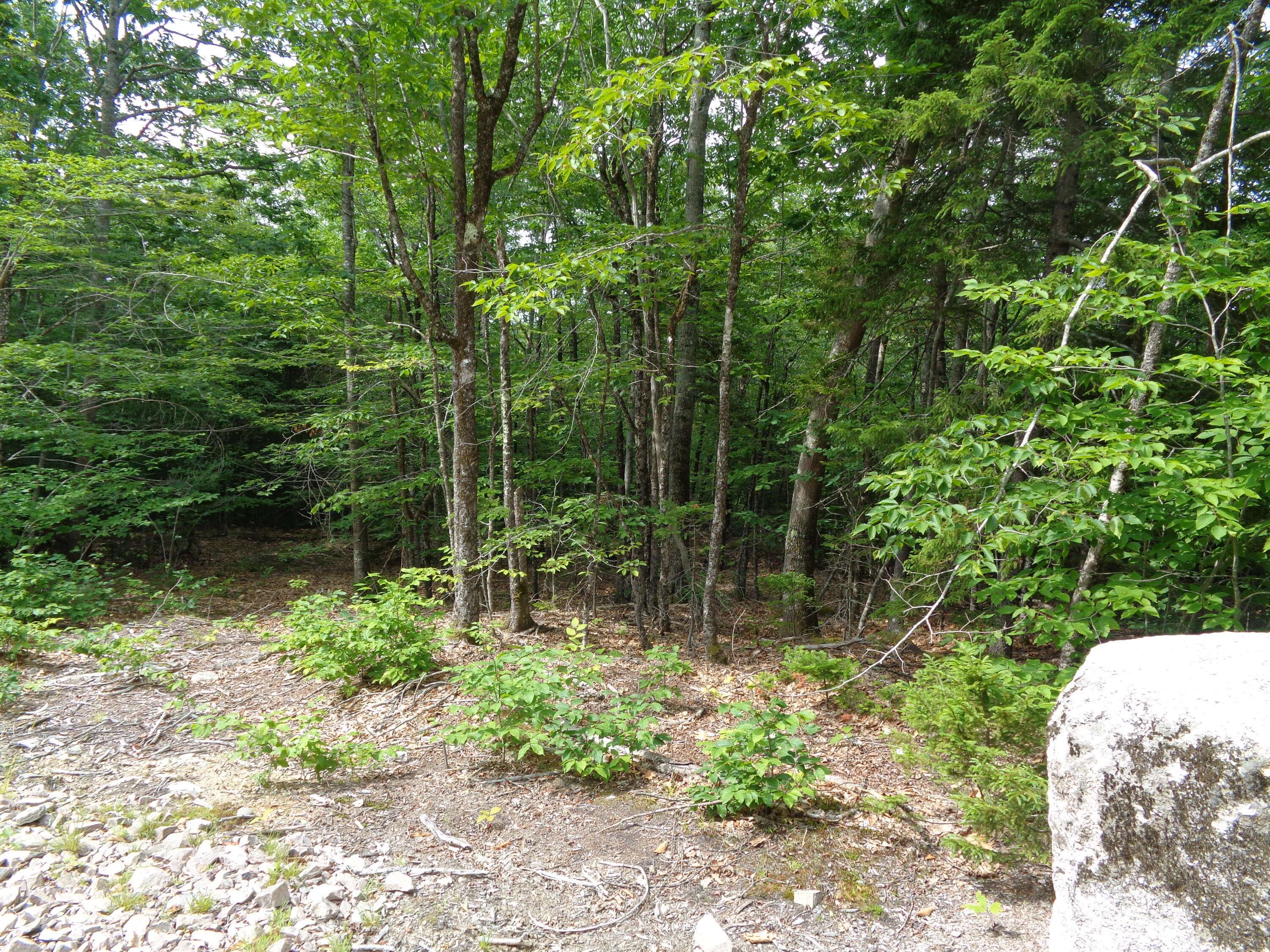 Ellsworth, ME 04605,Lot 4 Manhattan WAY