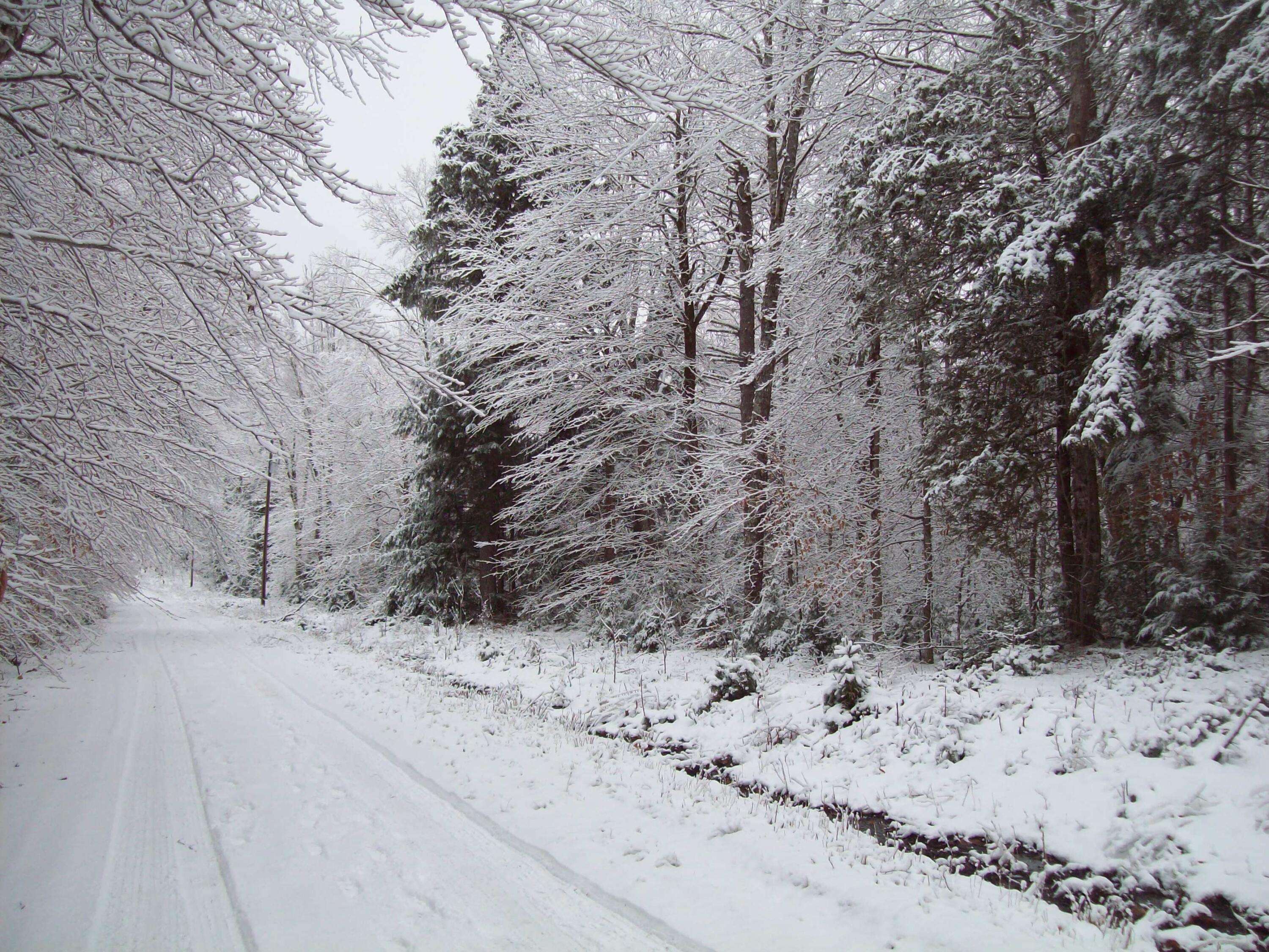 Lakeville, ME 04487,tbd Bearce Road