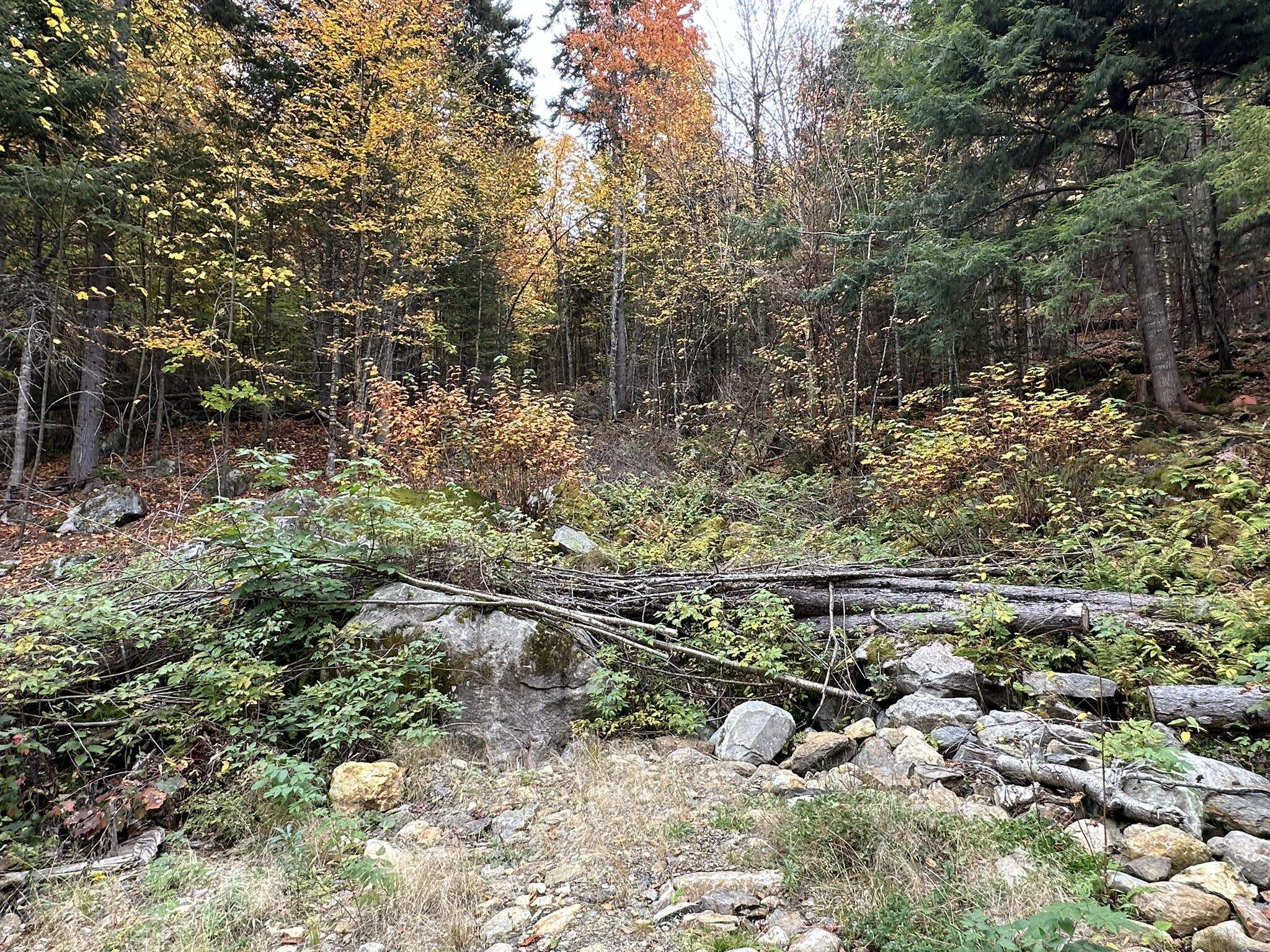 Coplin Plt, ME 04970,Lot #B-1 Mountain RD