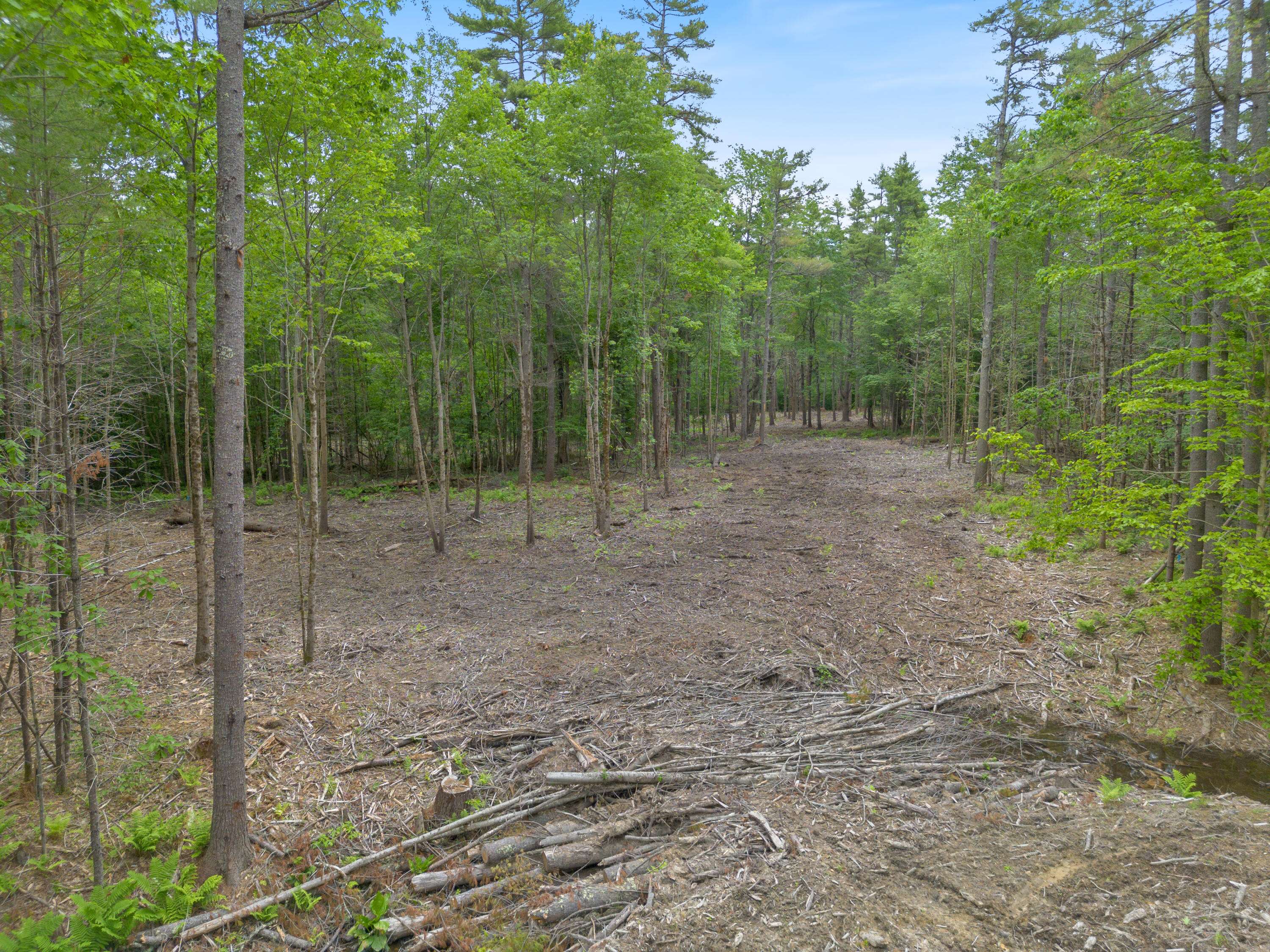 South Berwick, ME 03908,Lot 53B Great Hill RD