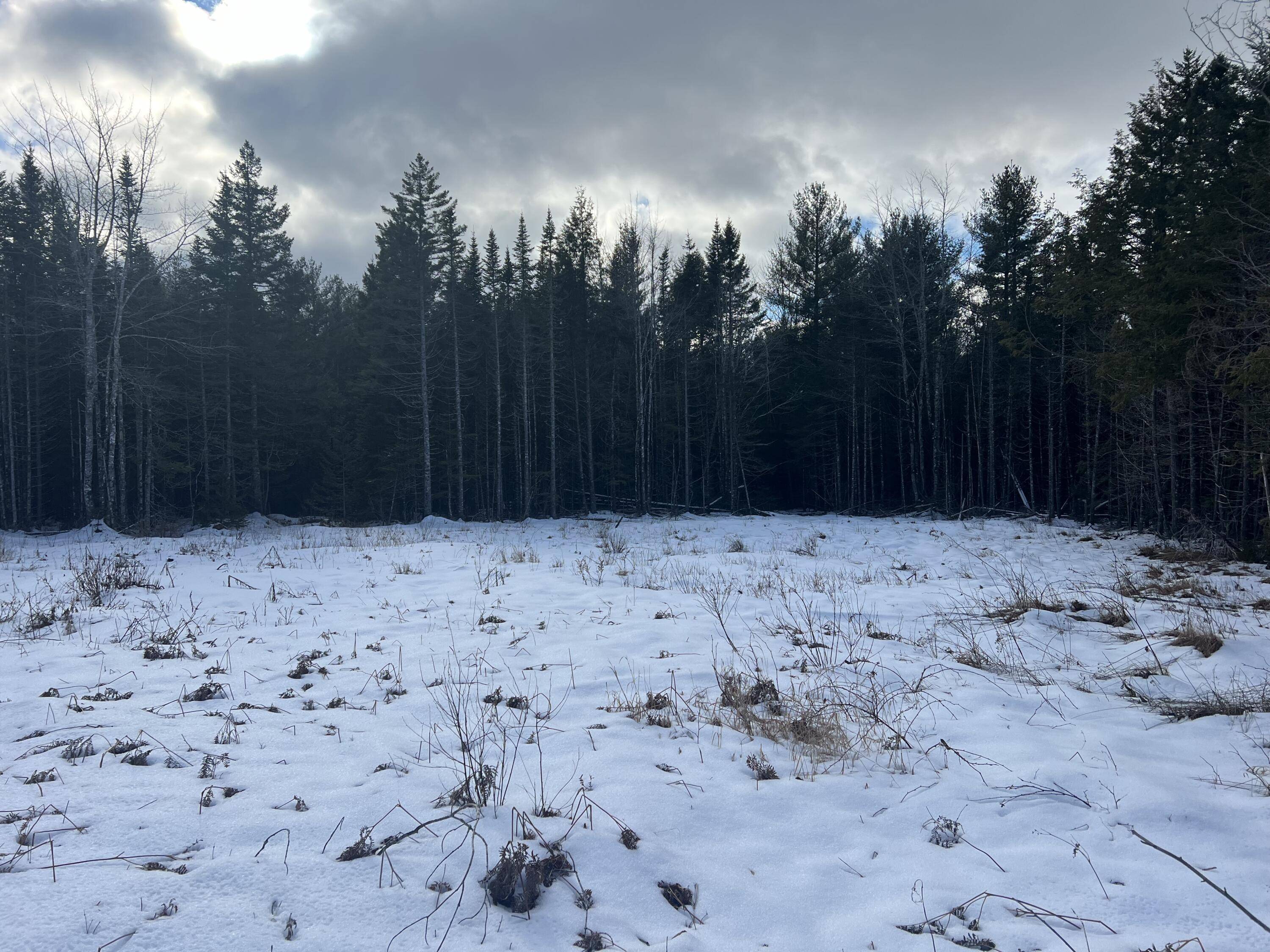 Waltham, ME 04605,Lot 137 White Tail Road RD