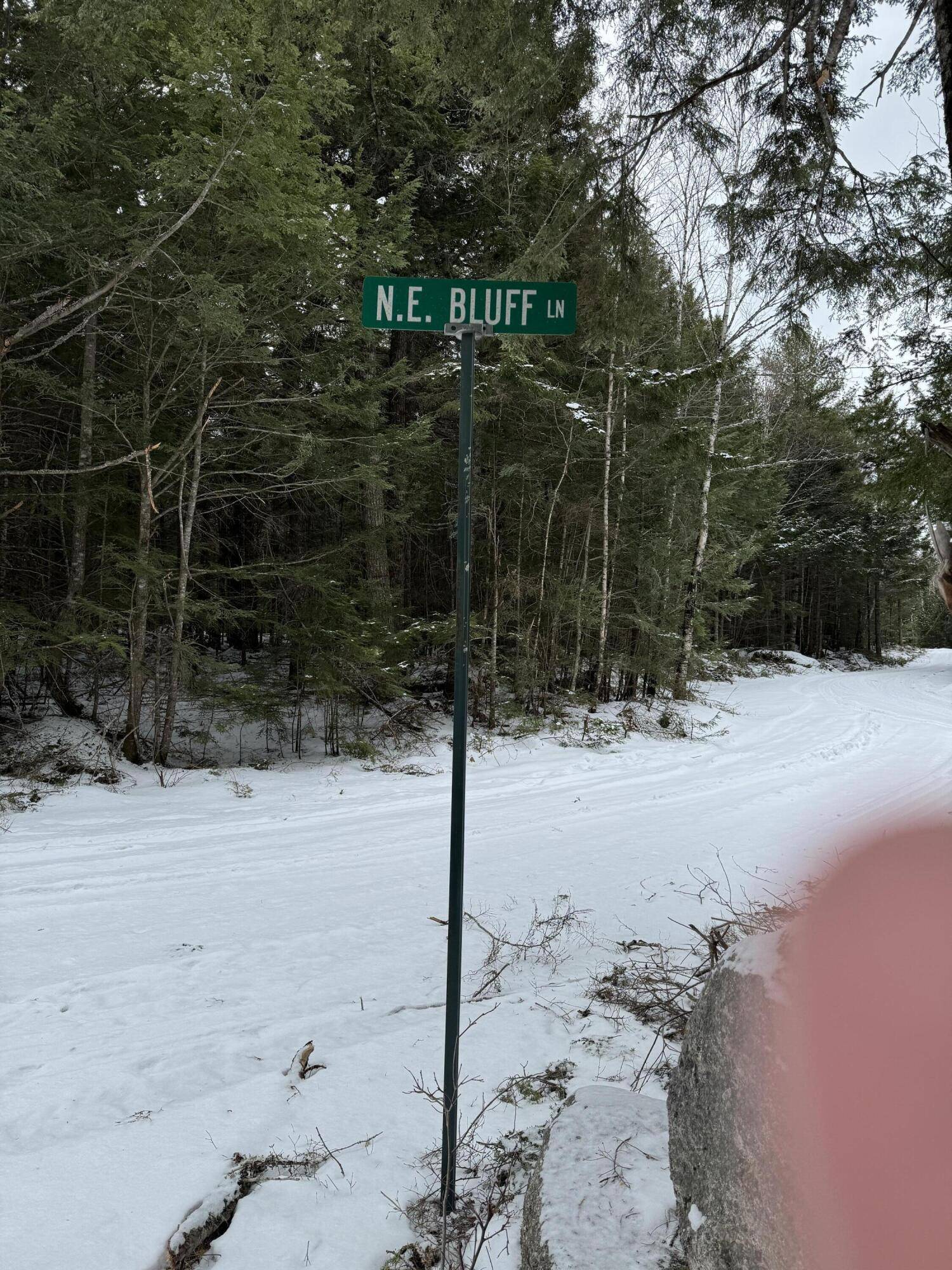 Beddington, ME 04622,Map9Lot45 NE NE Bluff LN