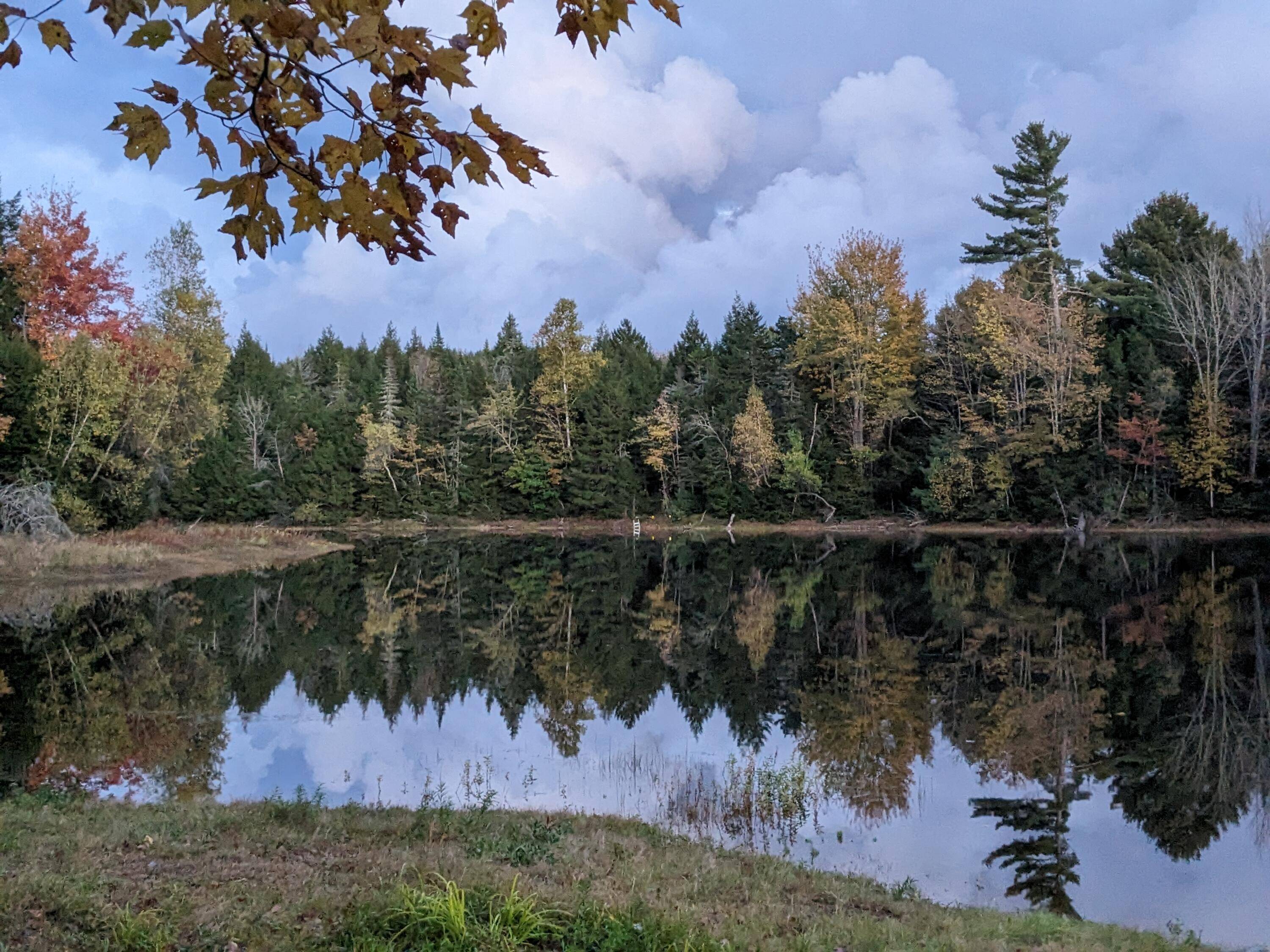 Mariaville, ME 04605,90 Trout Brook RD