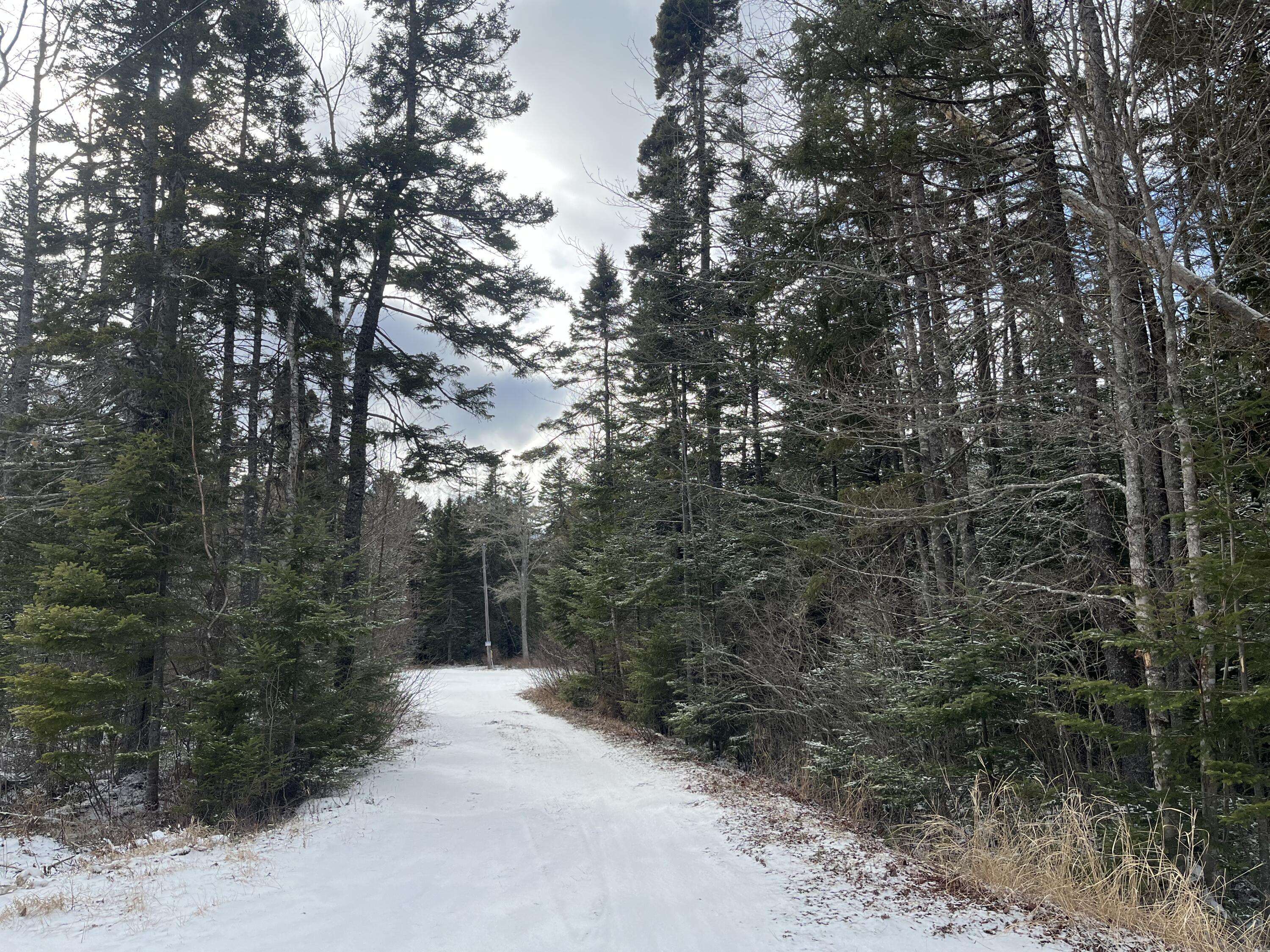 Steuben, ME 04680,93 Goods Point RD