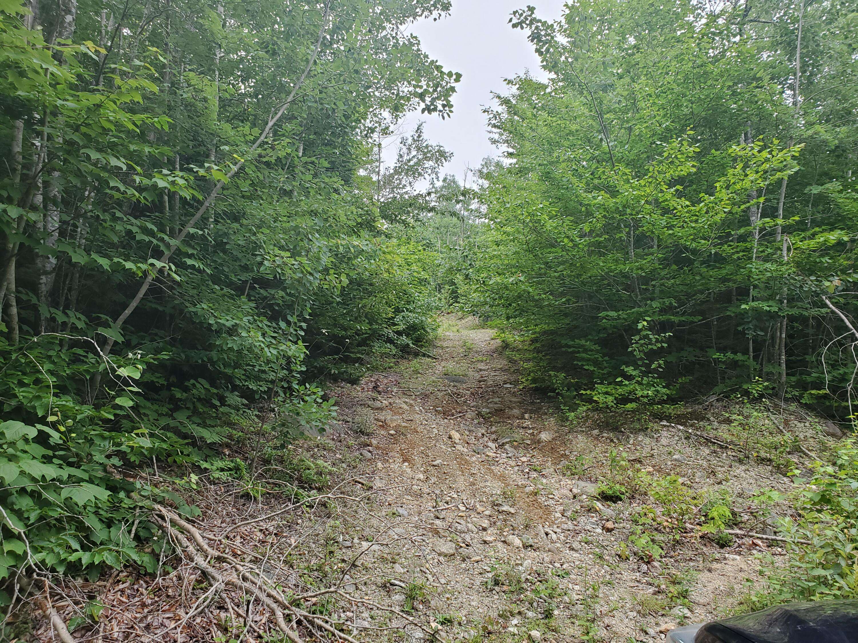 Otis, ME 04605,14 Black Bear DR