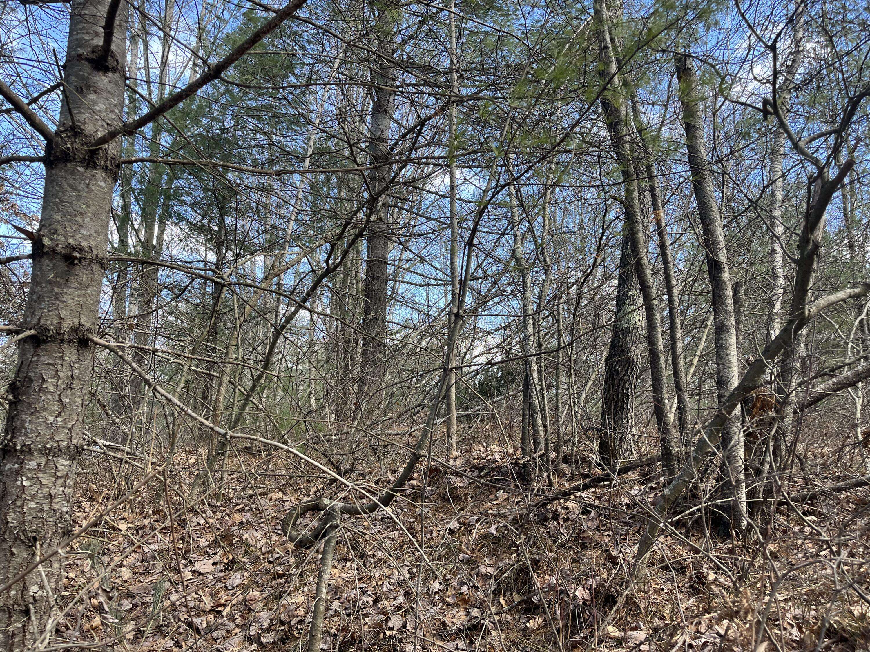 Shapleigh, ME 04076,Lot 78 Swan CIR