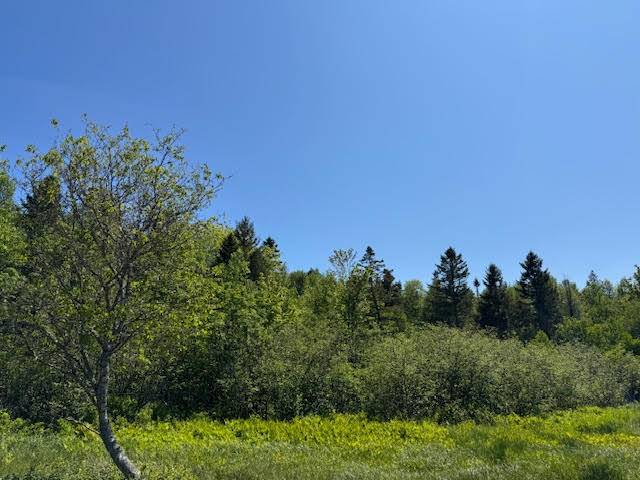 Eastport, ME 04631,104 County RD