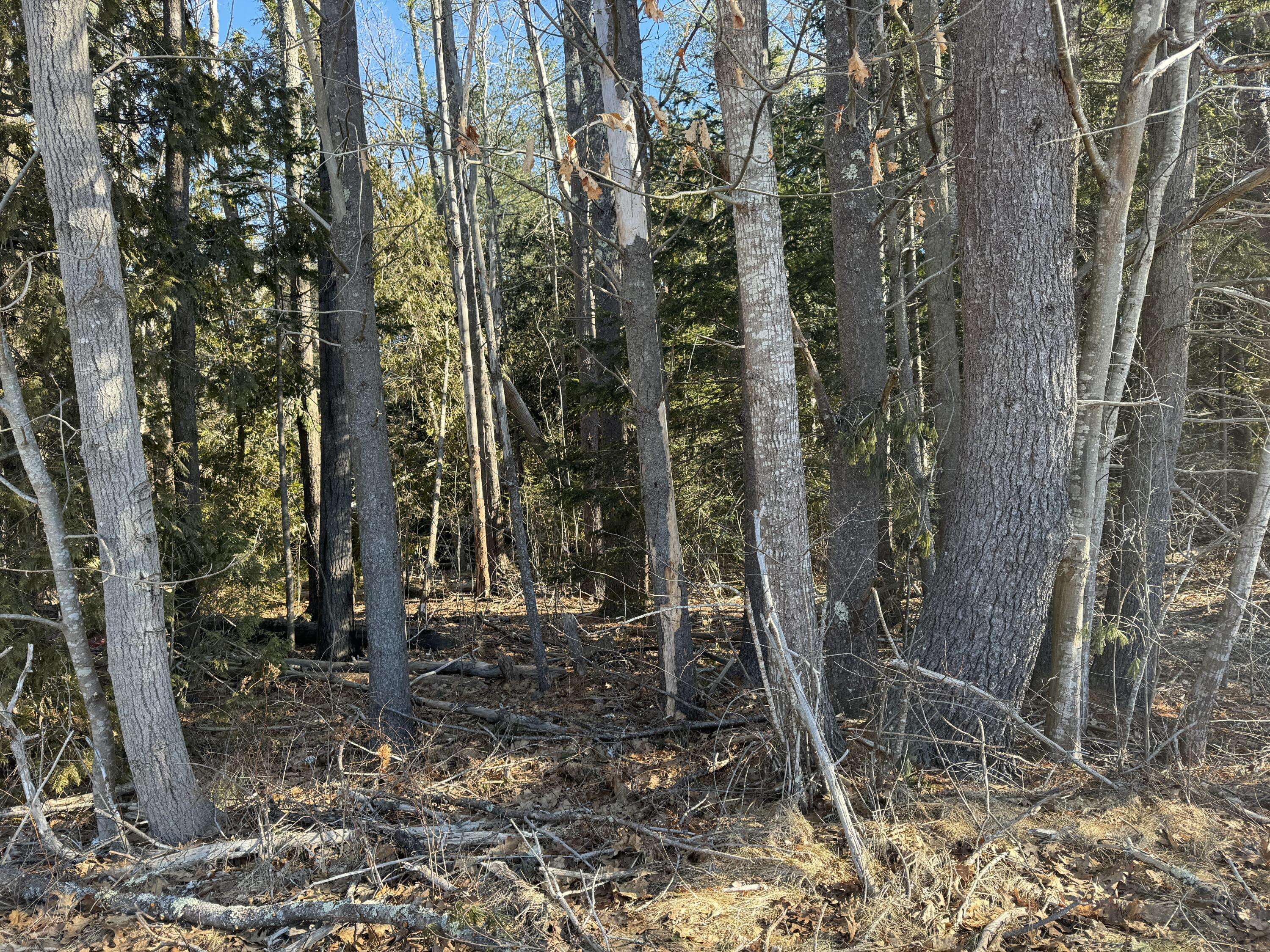 Westport Island, ME 04578,38 Hodgdon RD