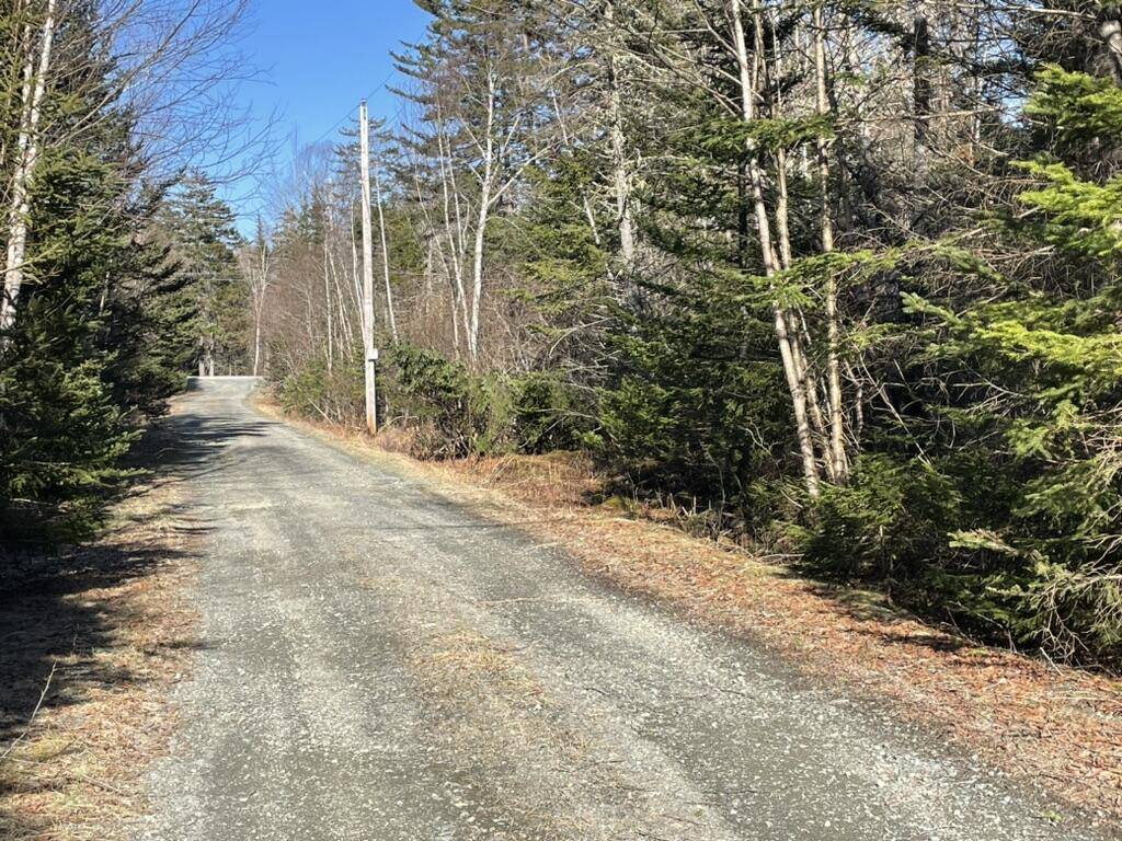North Haven, ME 04853,LotF S Shore RD