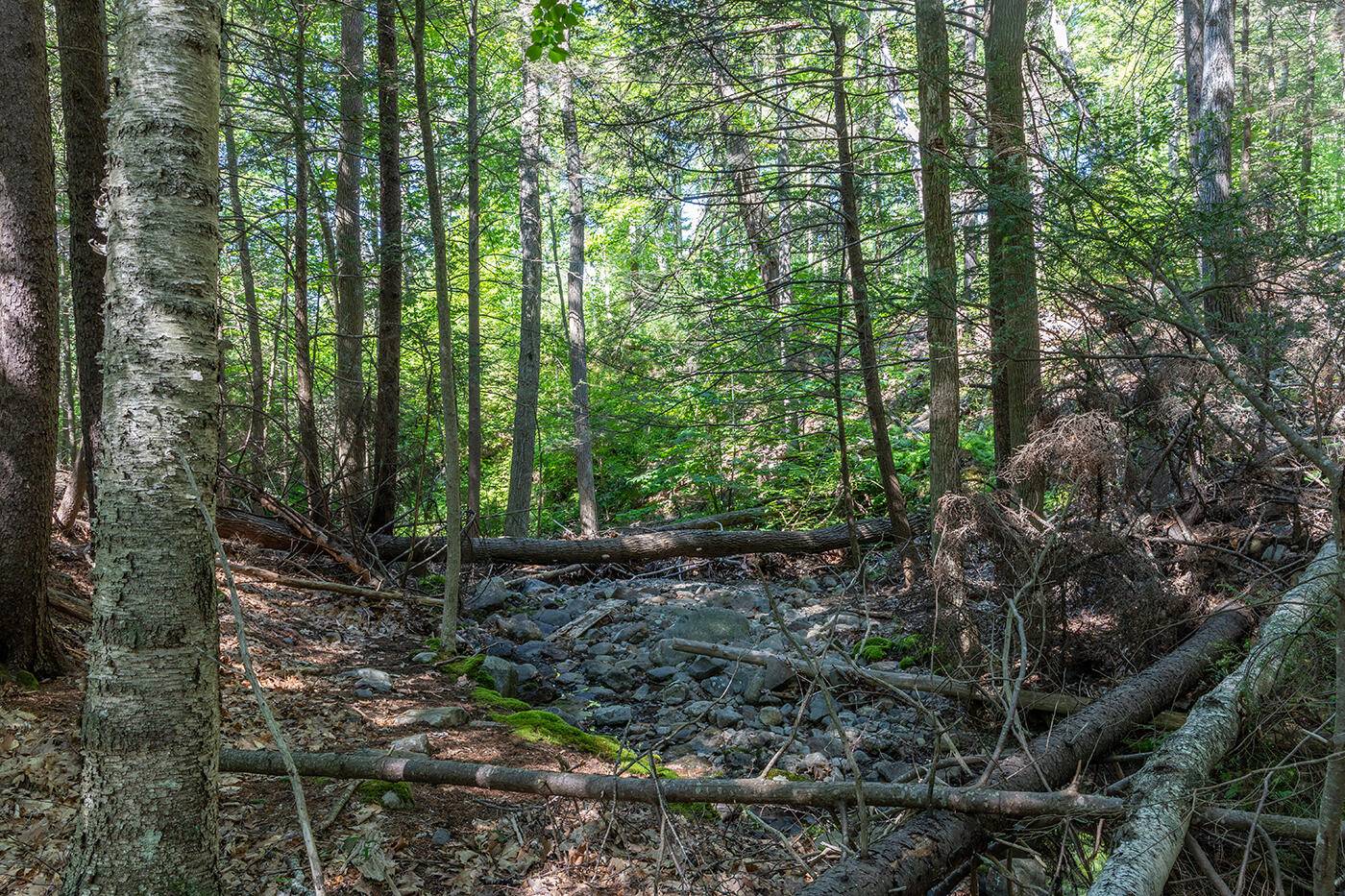 Camden, ME 04843,00 Mountain Arrow DR #LOT B