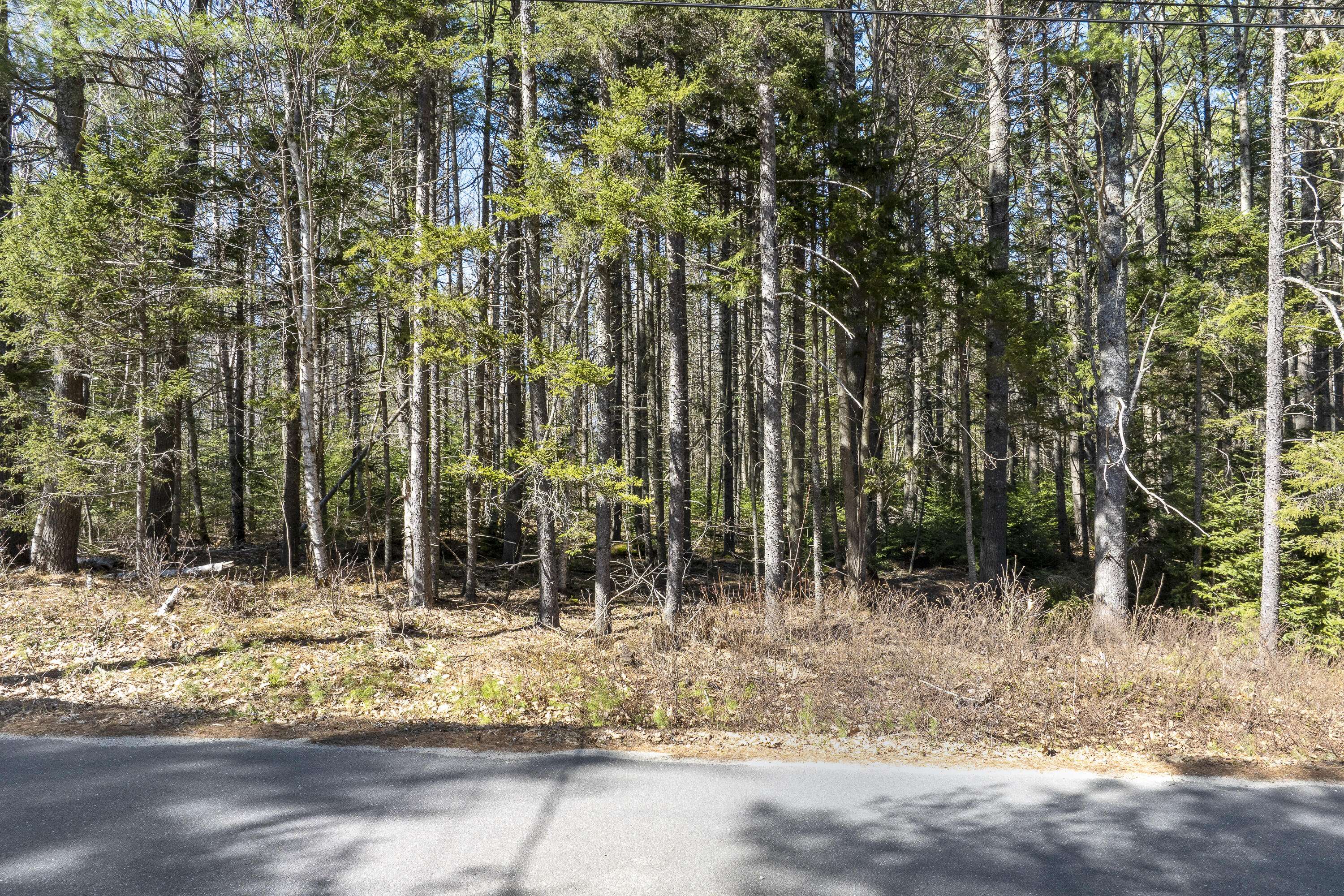 Westport Island, ME 04578,Address not disclosed