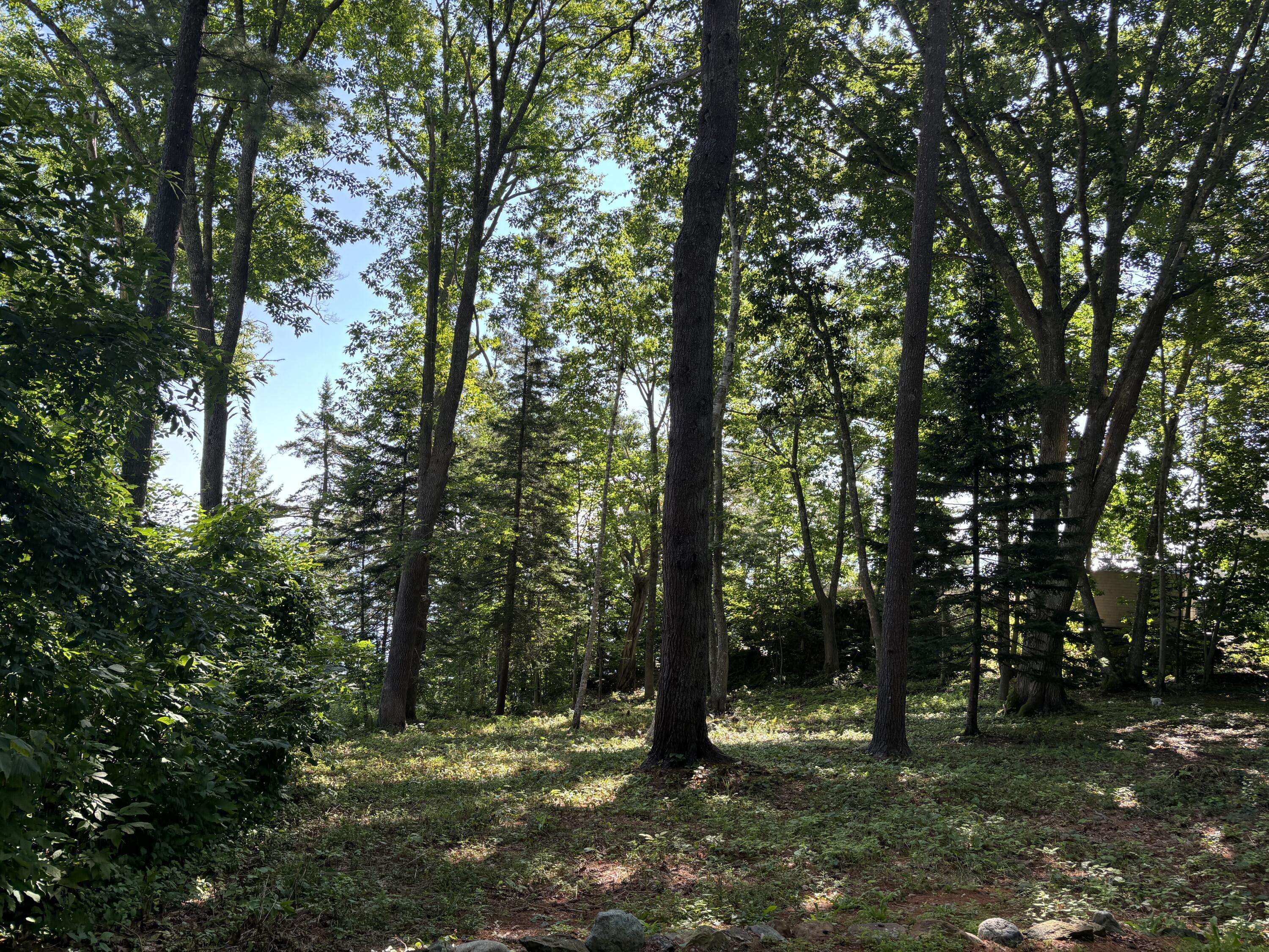 Rockport, ME 04856,Lot 19 Roxmont RD