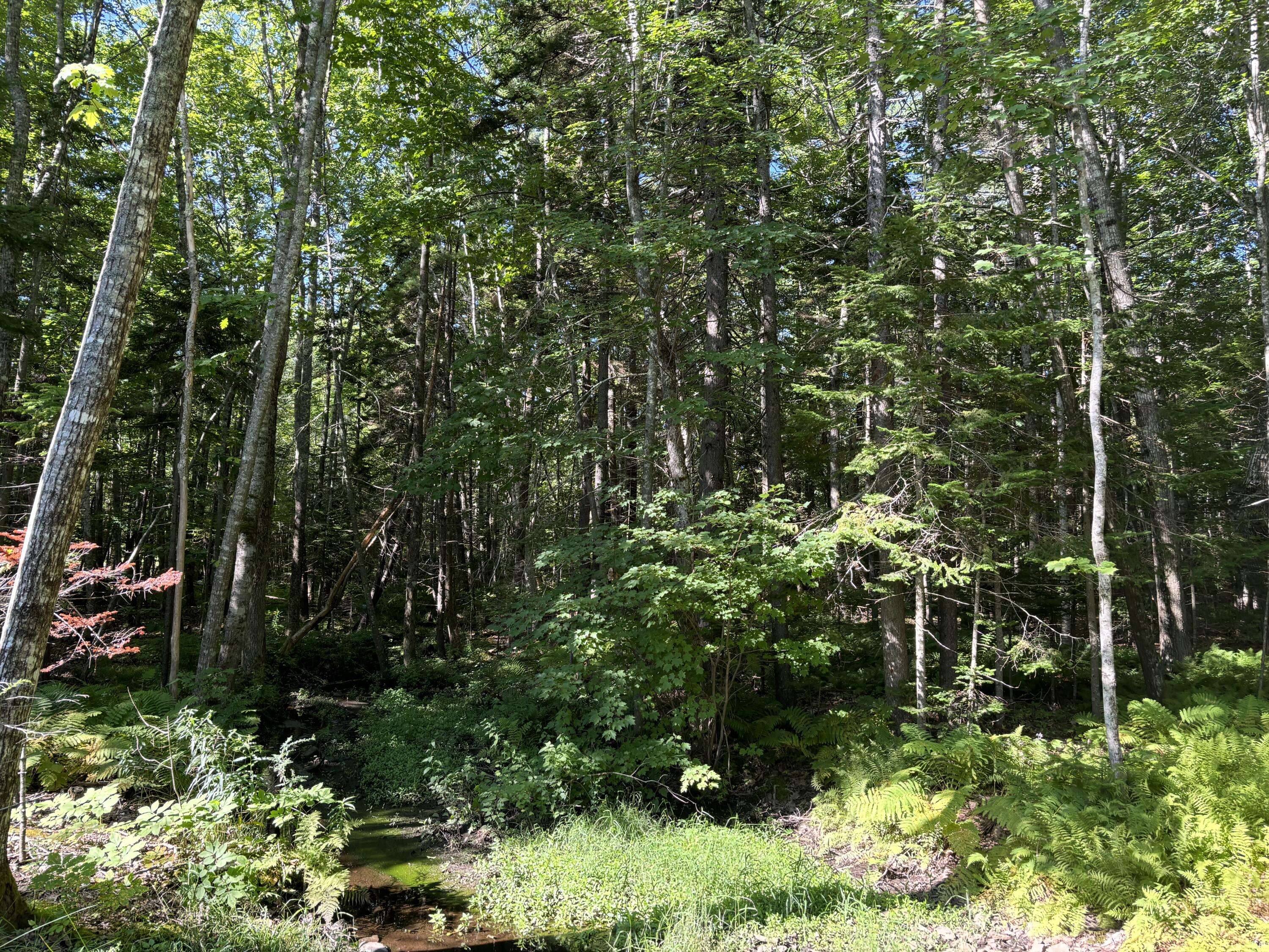 Rockport, ME 04856,Lot 19 Roxmont RD