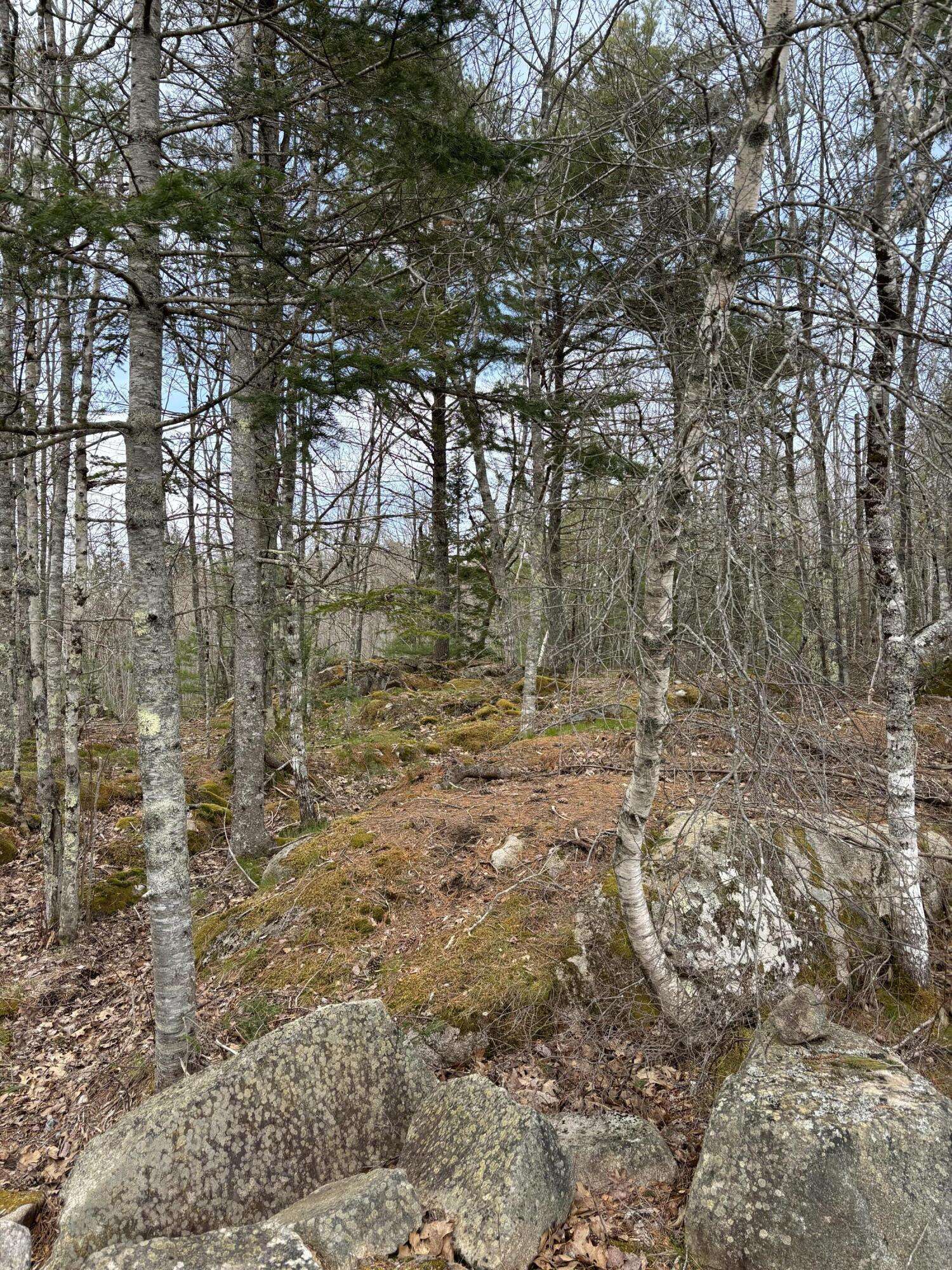 South Thomaston, ME 04858,Lot 9 Aspen DR
