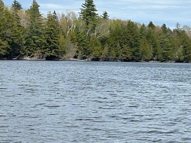 Sebec, ME 04426,Lot #48 Boat Access Only ST